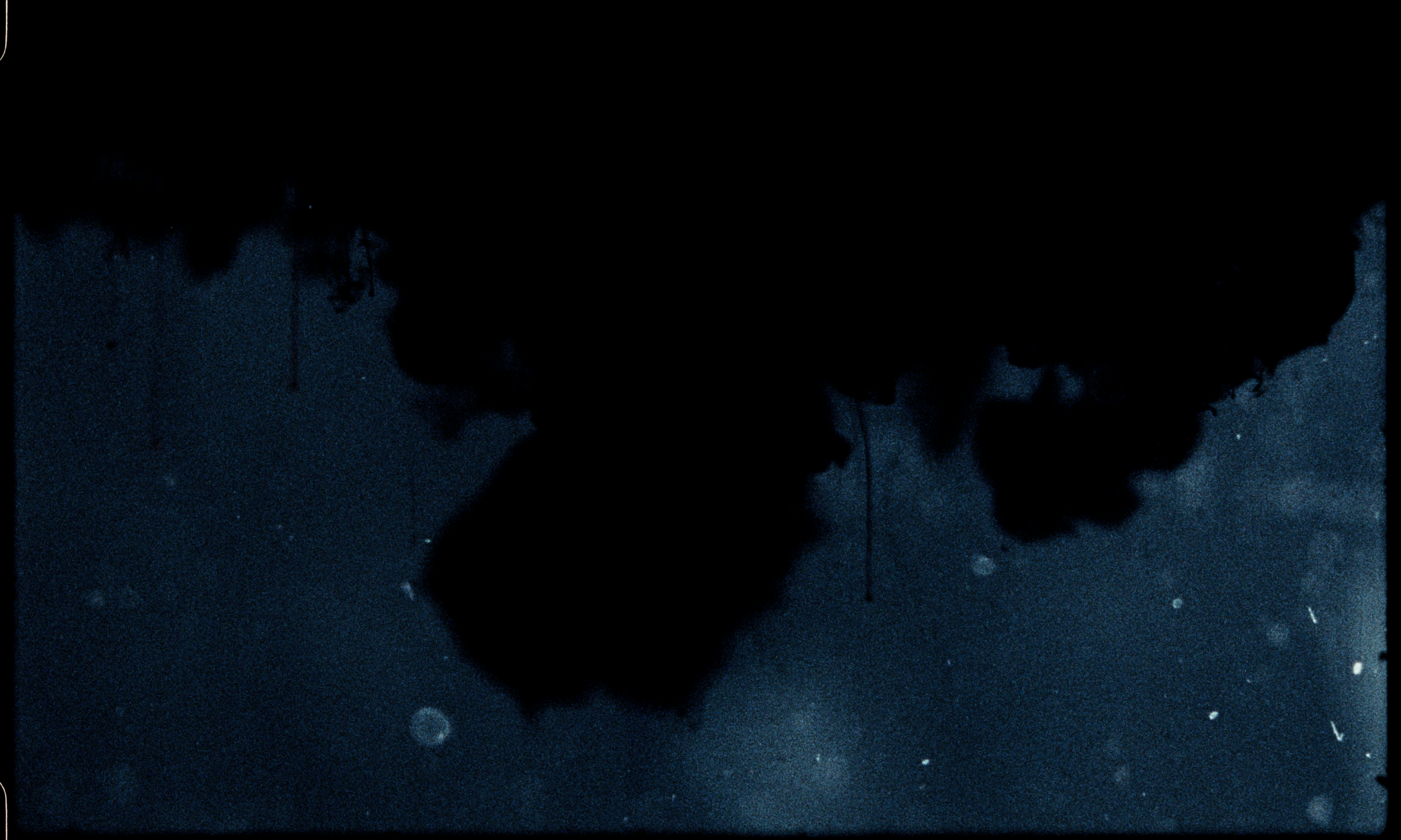Bacigalupo_Stills_023.png