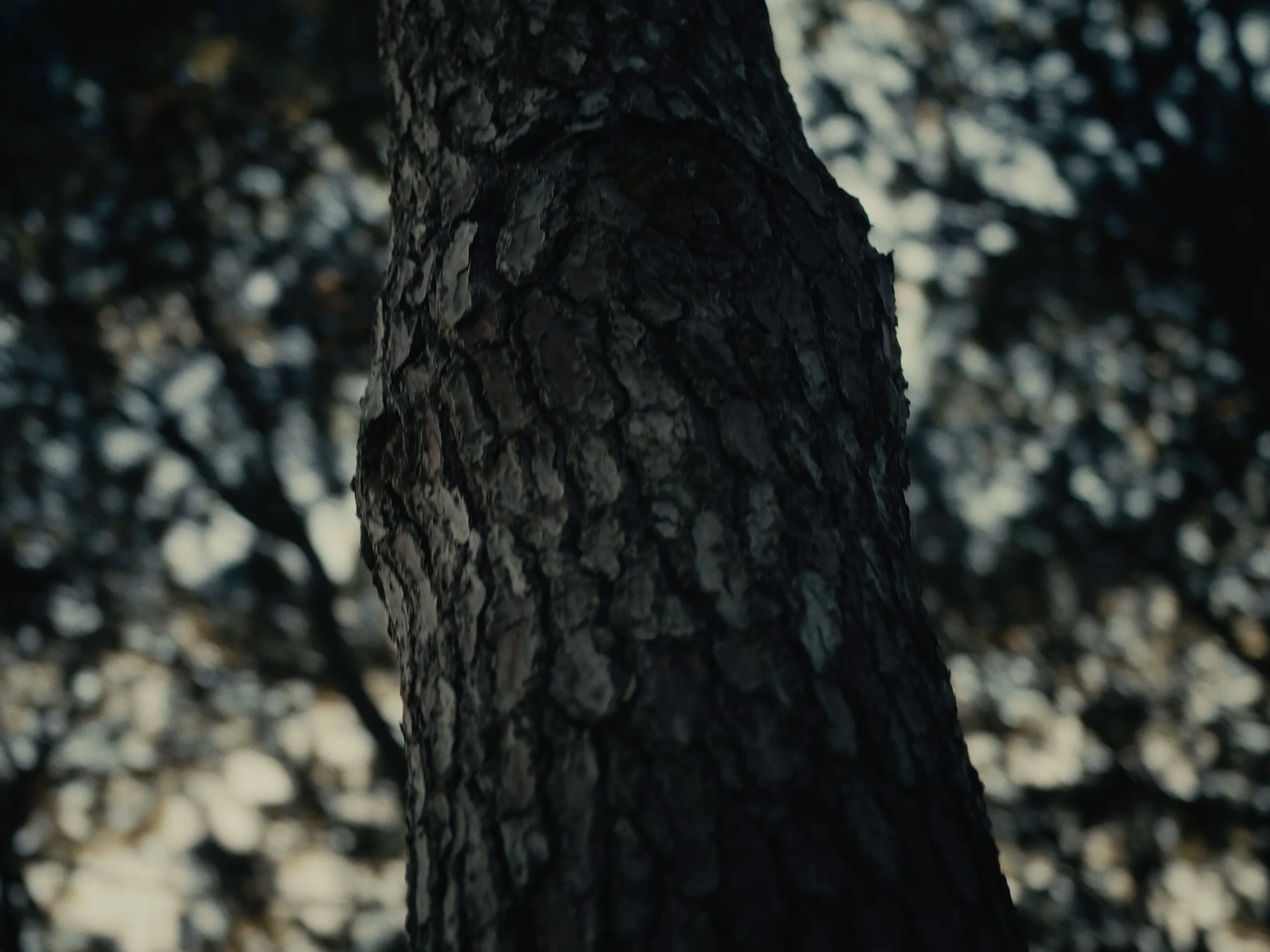 Image 30 sec - 2.jpg