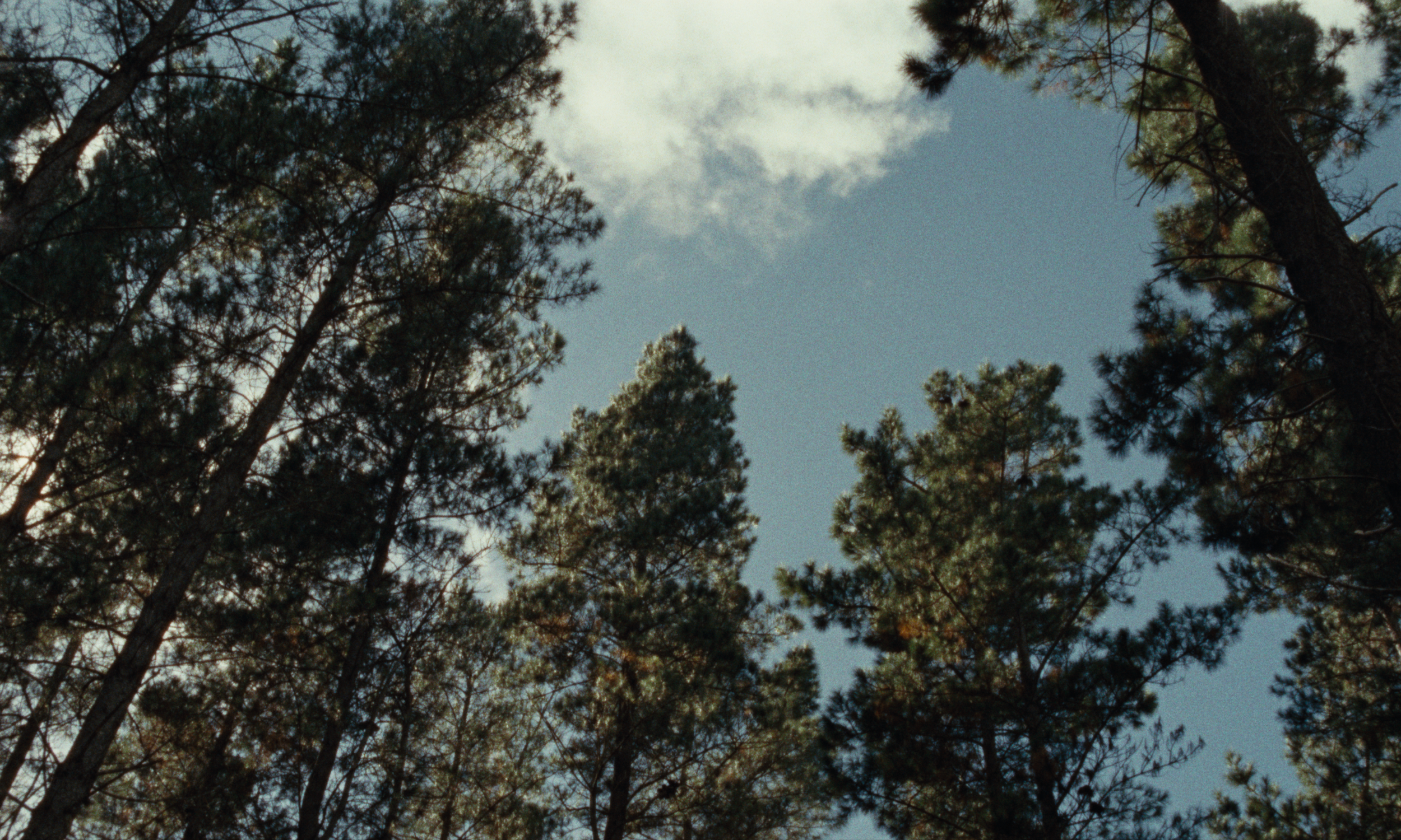 H&M_Stills_014.png
