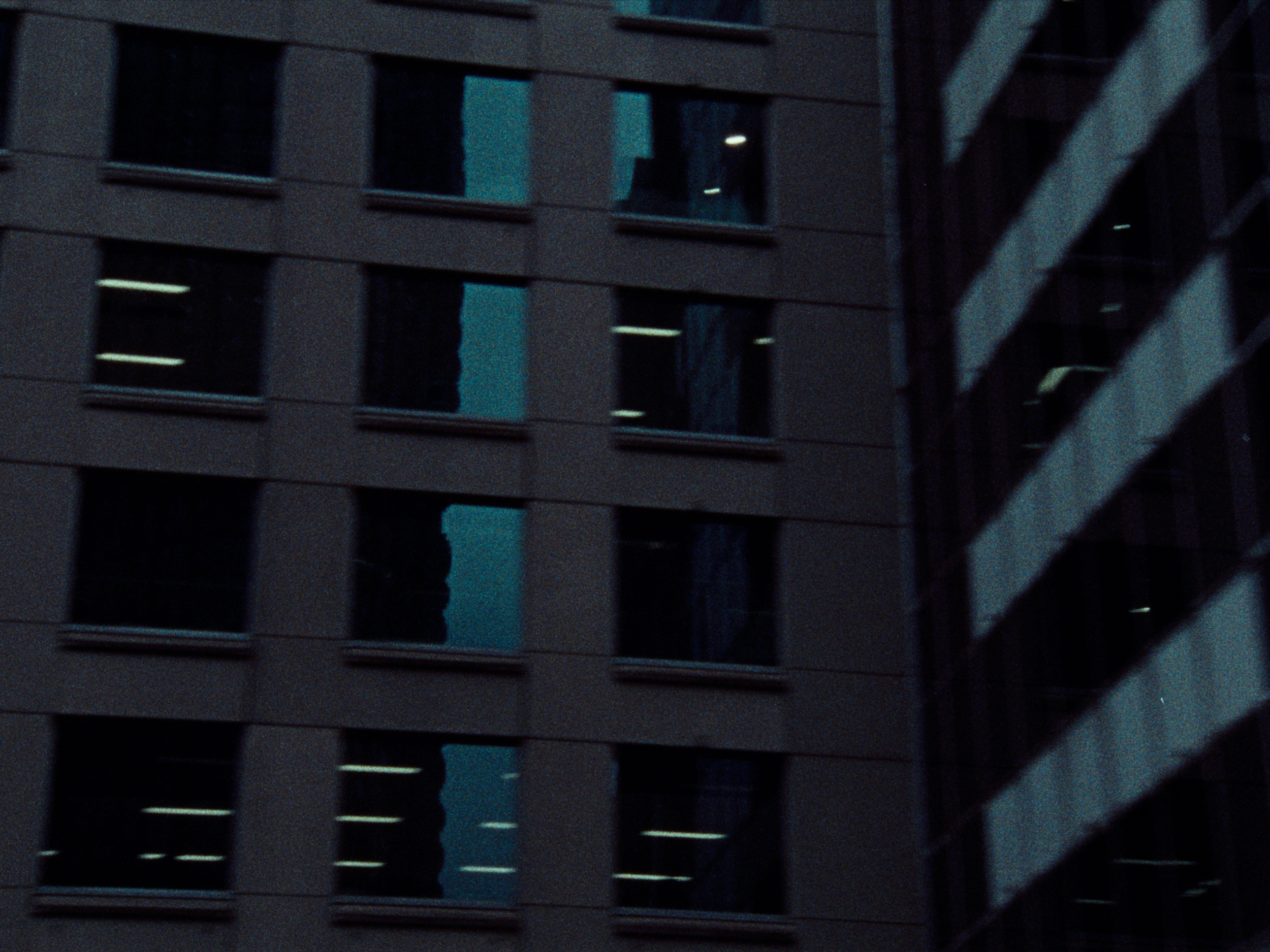 Bacigalupo_Stills_016.png