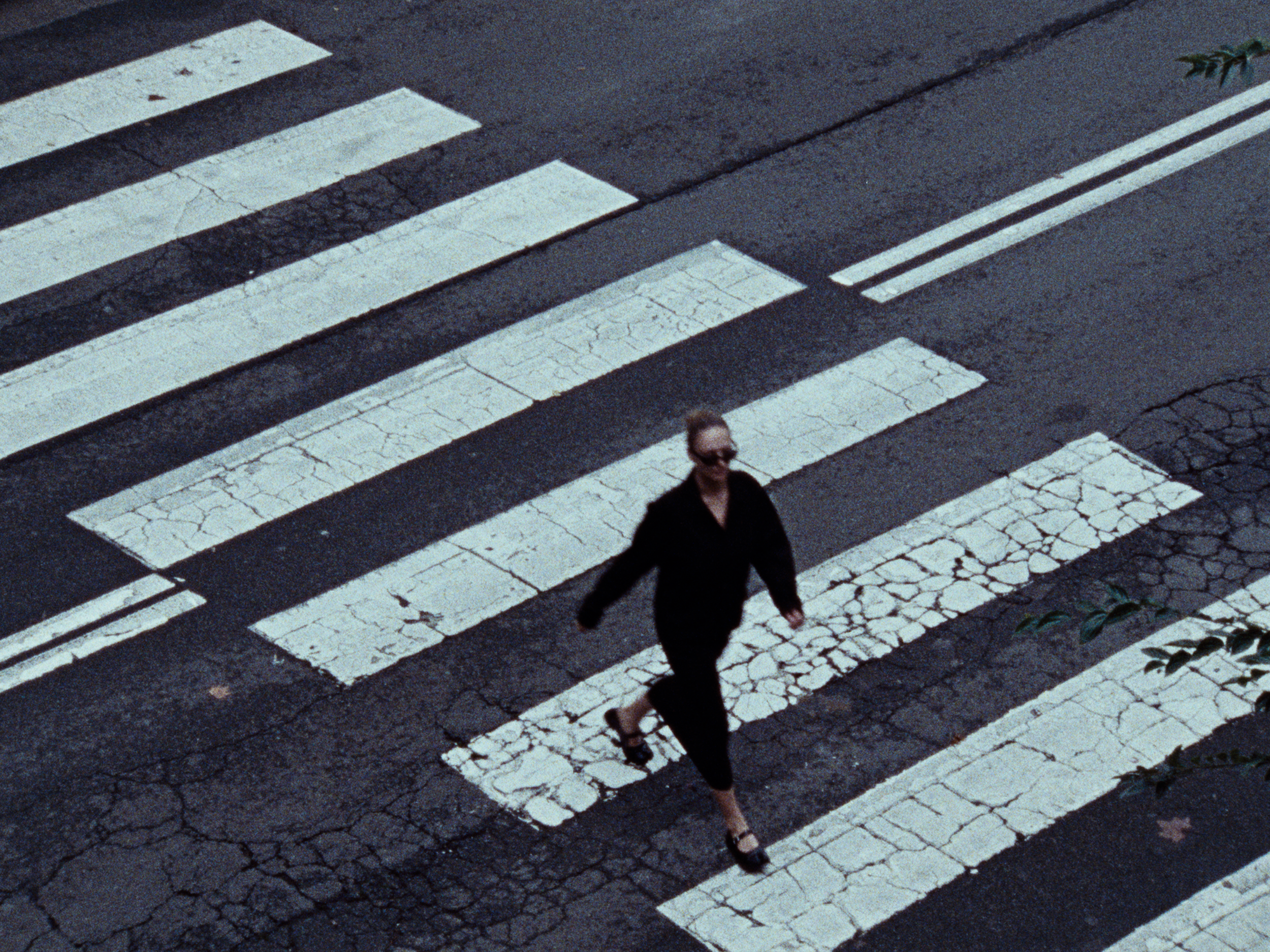 Bacigalupo_Stills_022.png