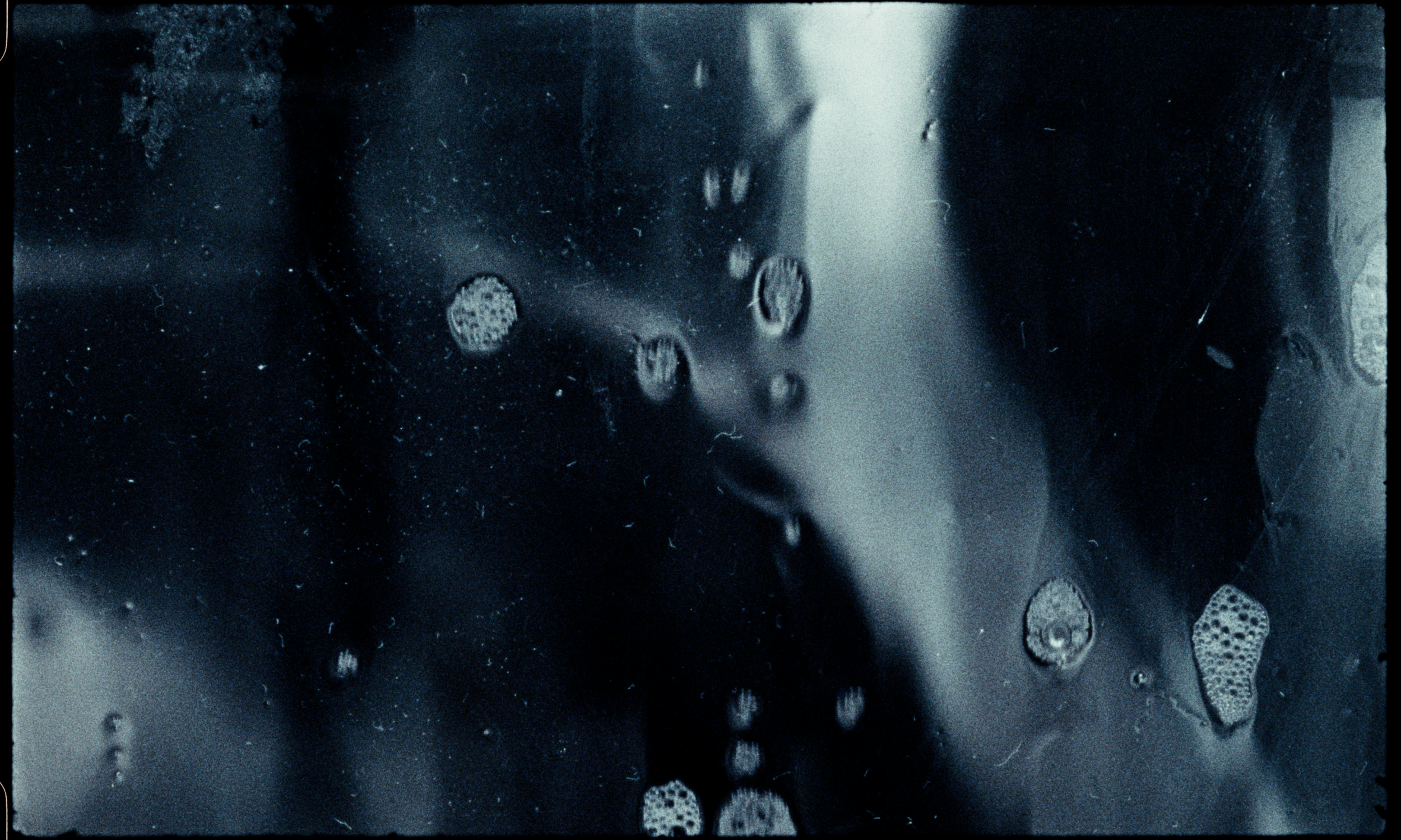 Bacigalupo_Stills_022.png
