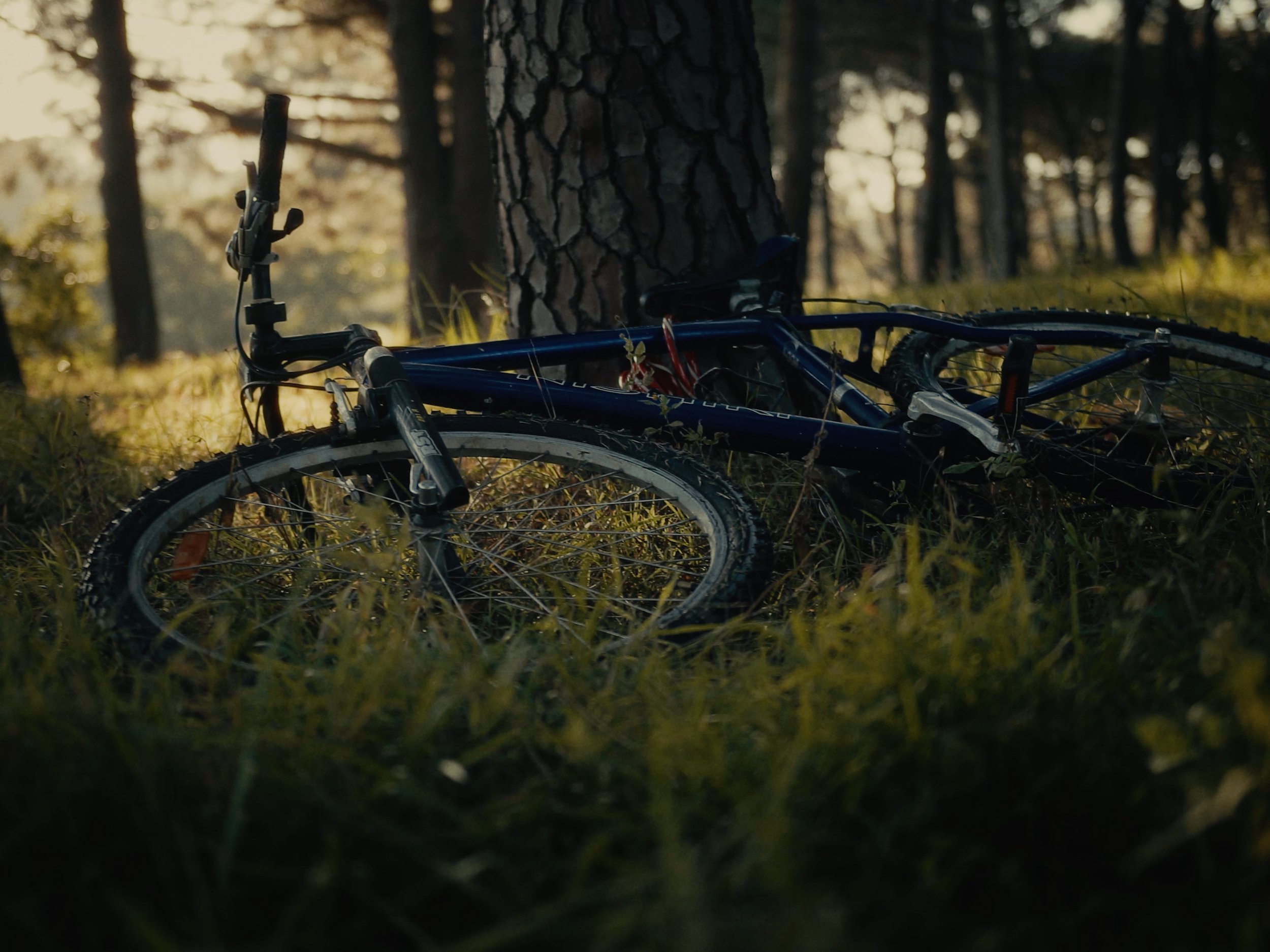 Image 30 sec - 5.jpg