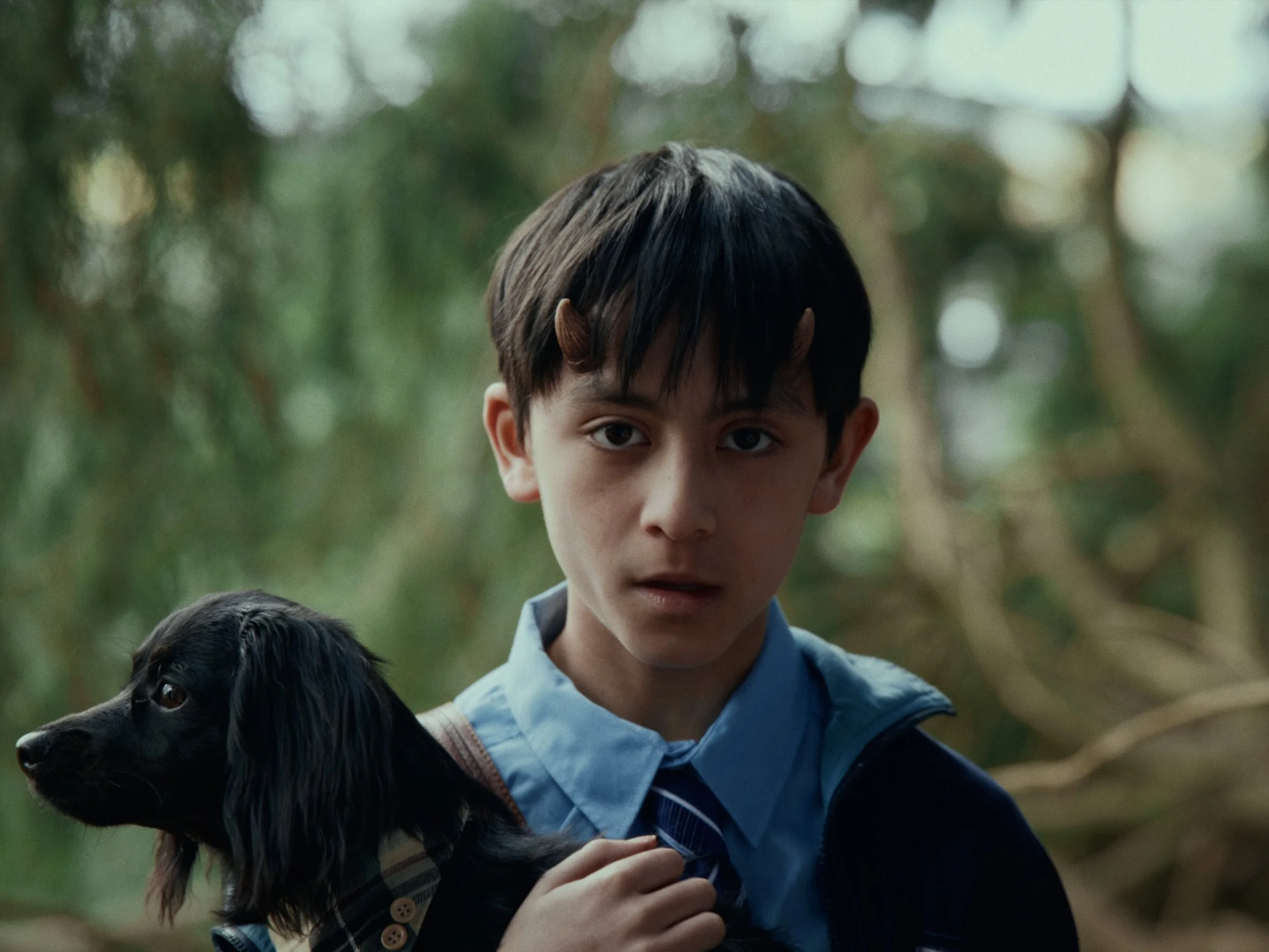 IGIF_Stills_009.jpg