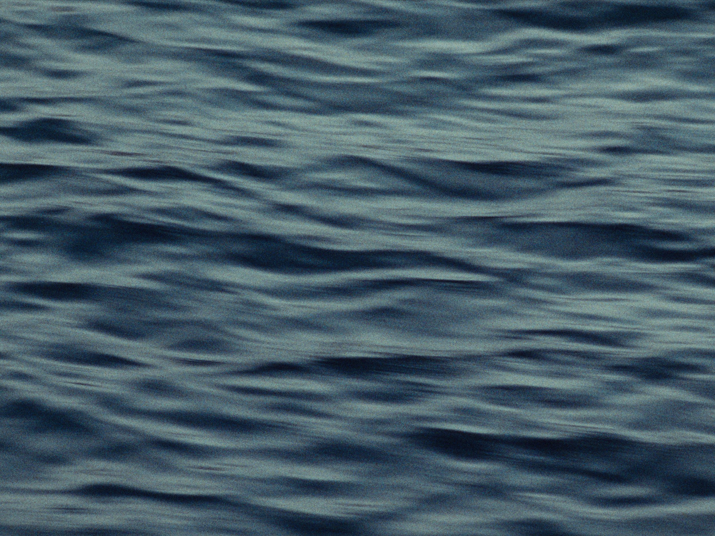 Bacigalupo_Stills_010.png