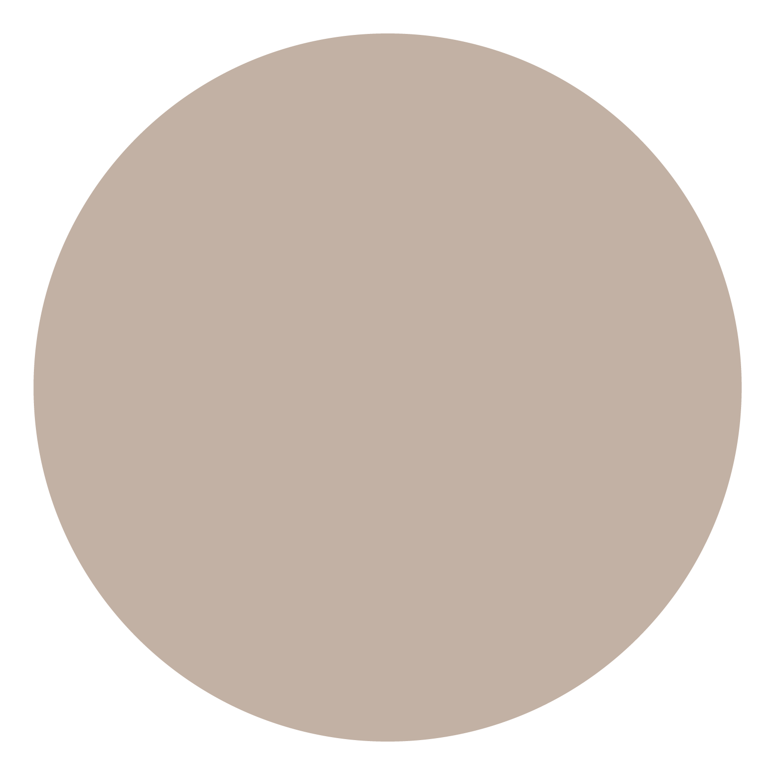 Safari