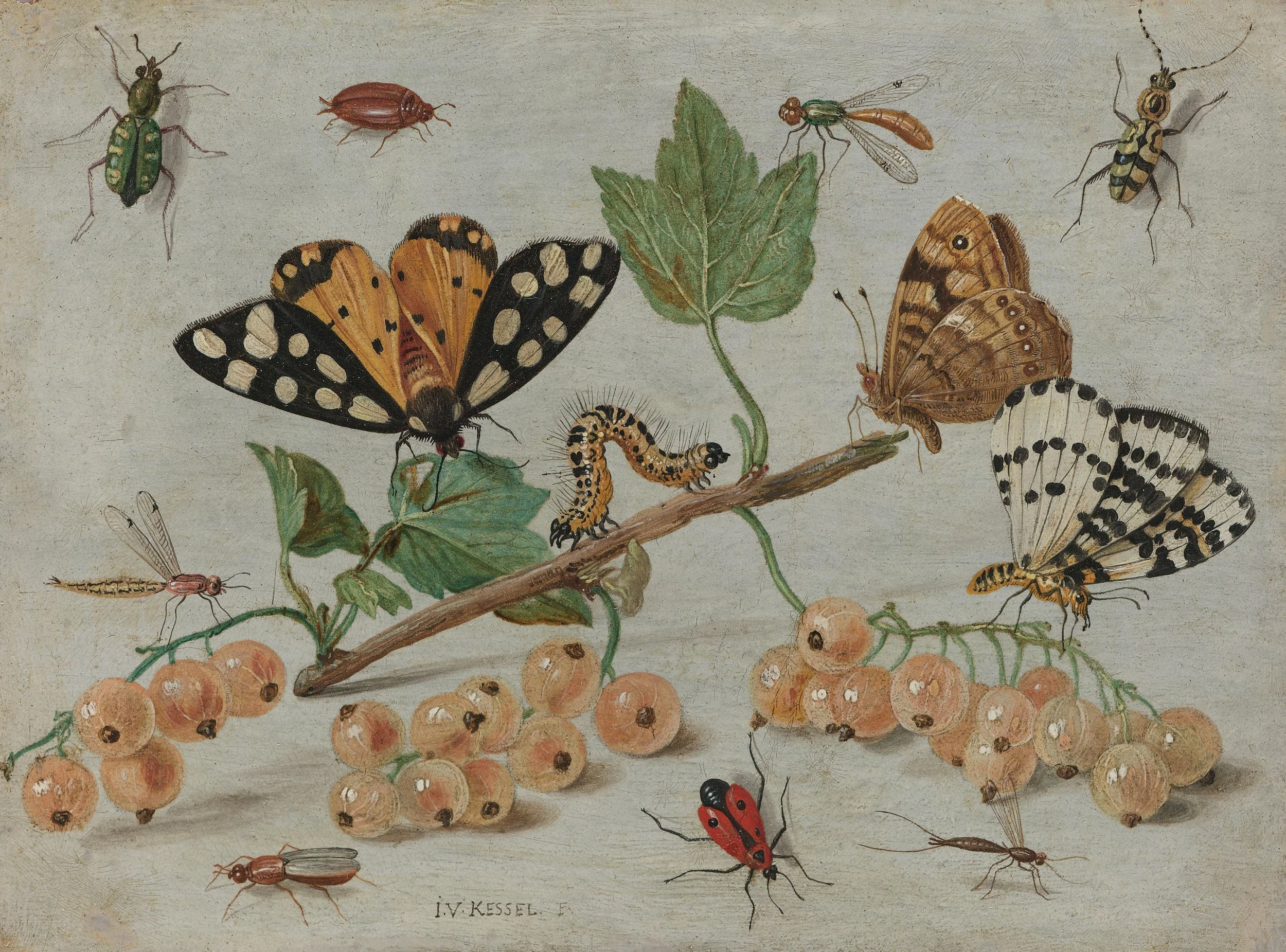 Butterflies and caterpillars artwork