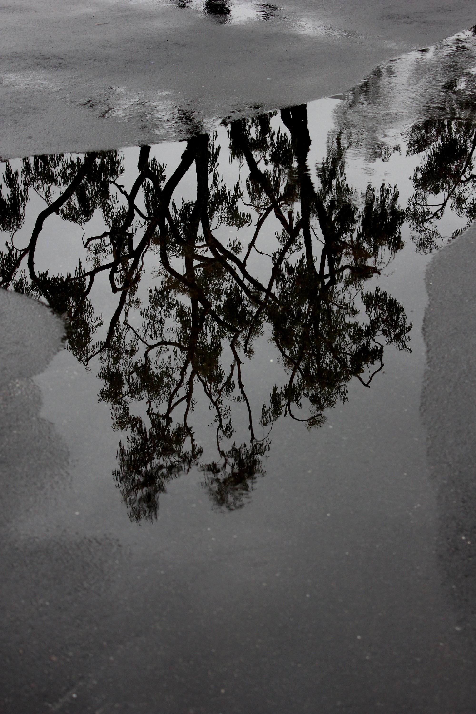 "Reflections" photo #4 in Gloomy series