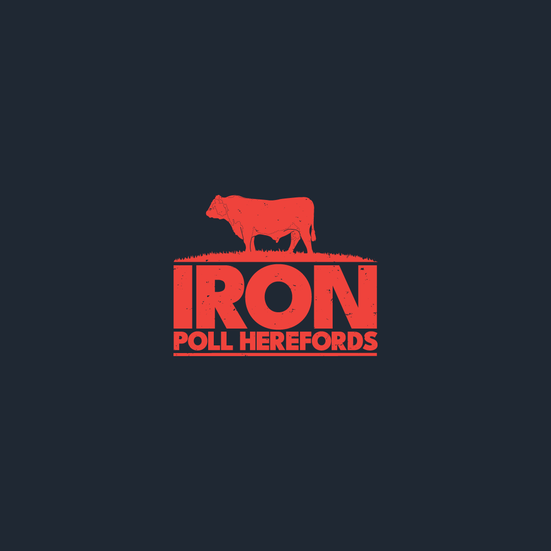 5.png