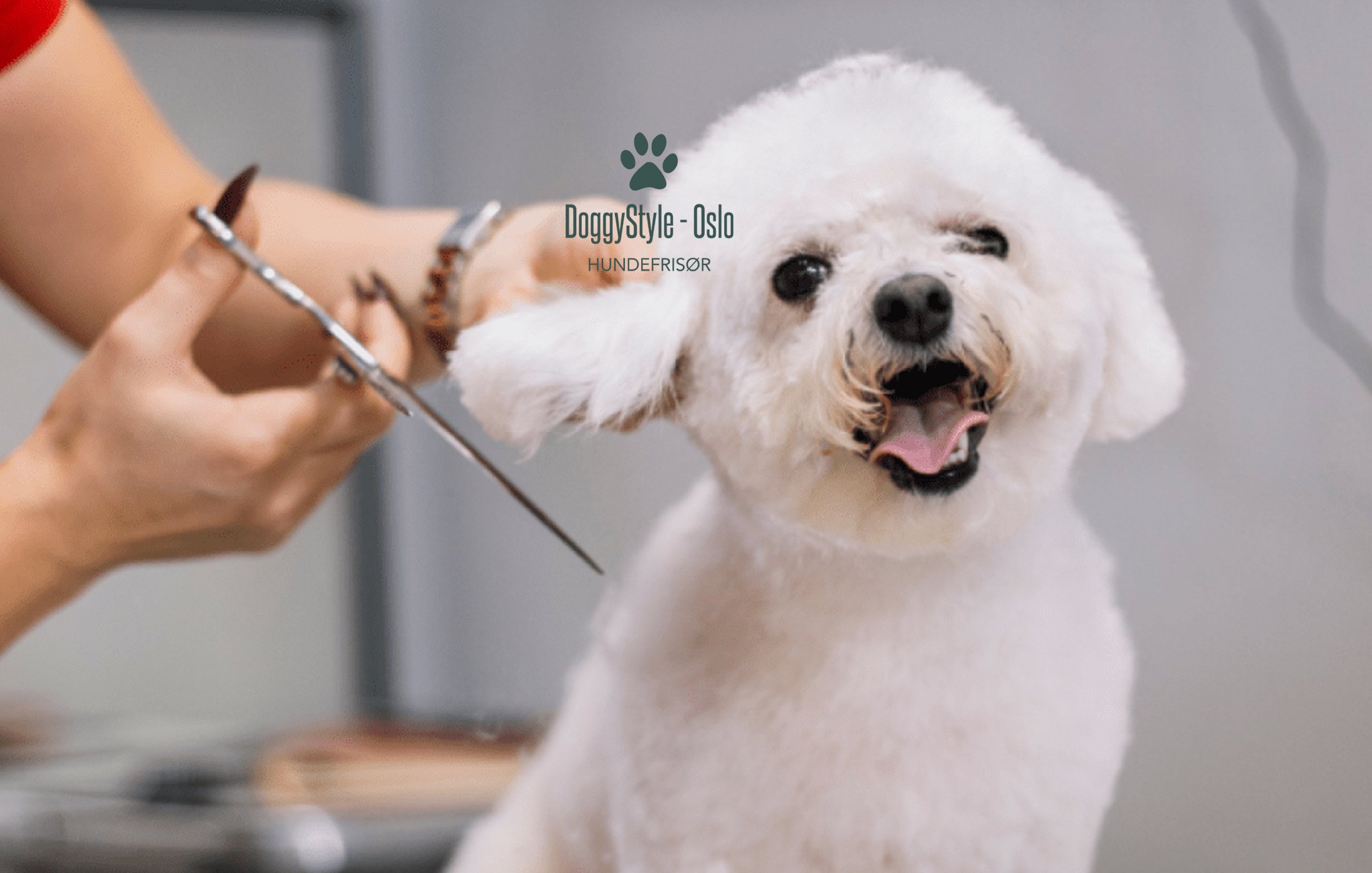 DoggyStyle er en av Supplèr sine kule kunder