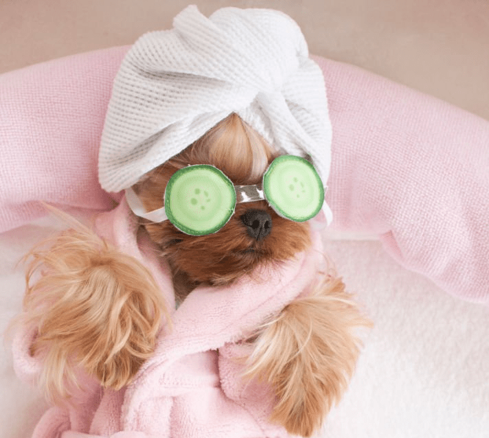 DoggyStyle er en av Supplèr sine kule kunder