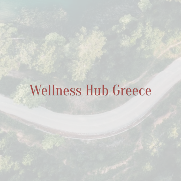 wellness-hub-greece.png