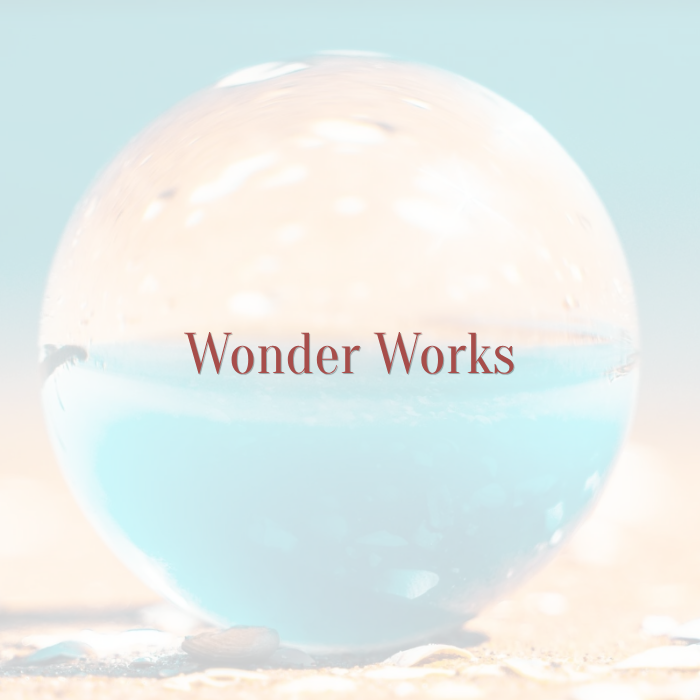 wonder-works.png