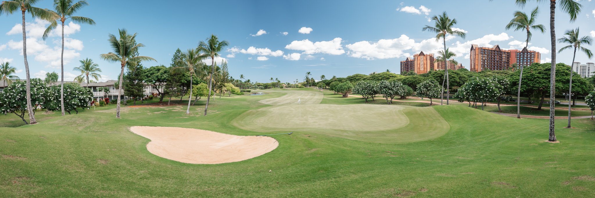 ko olina-26.jpg