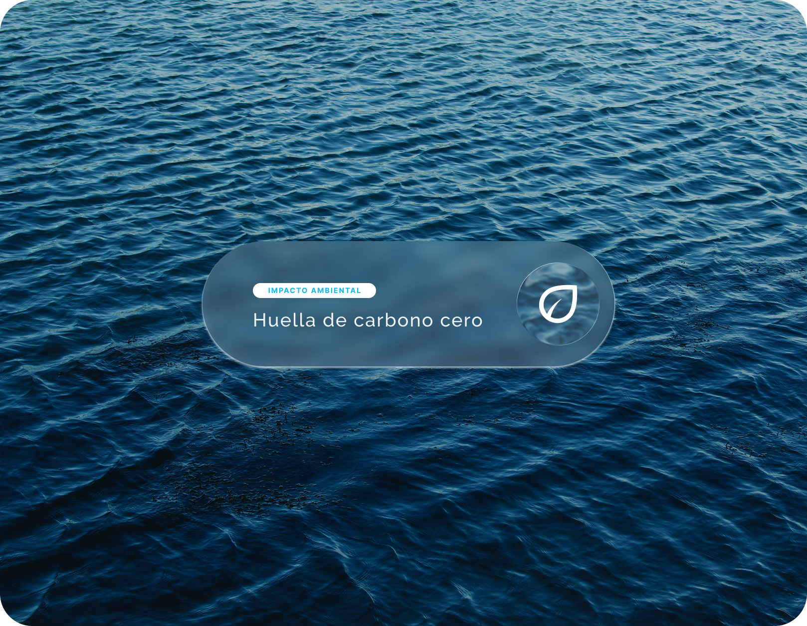 Monitor de Impacto Sostenible