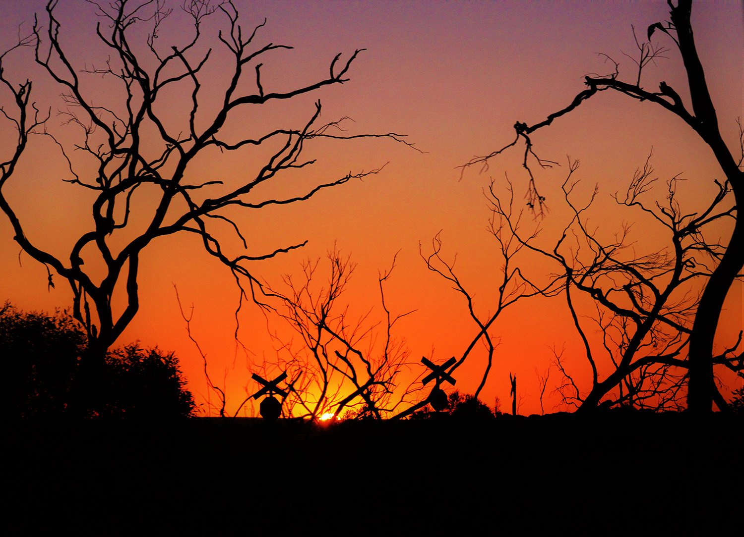 DSC_0148 (2)_web_quality.jpg