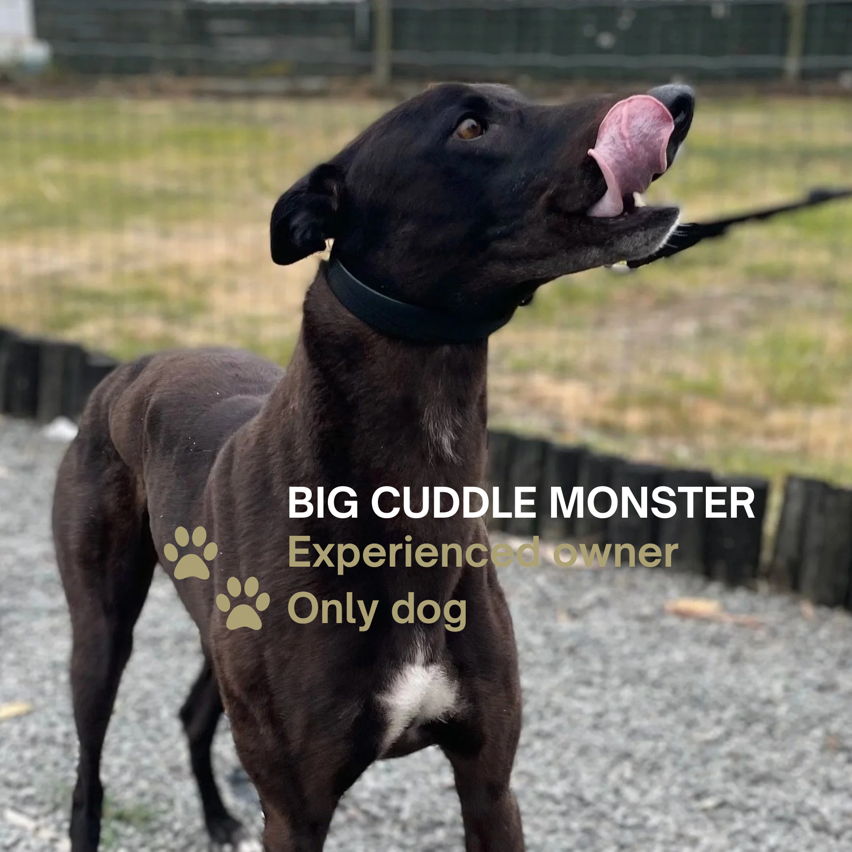 ROSCO
