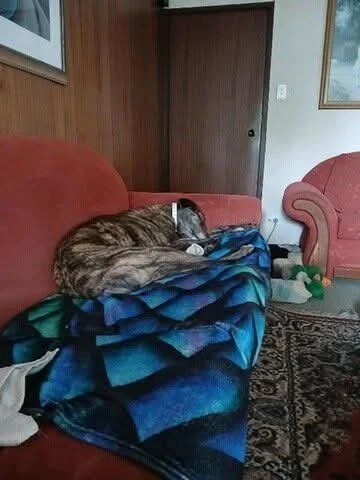 LUKA