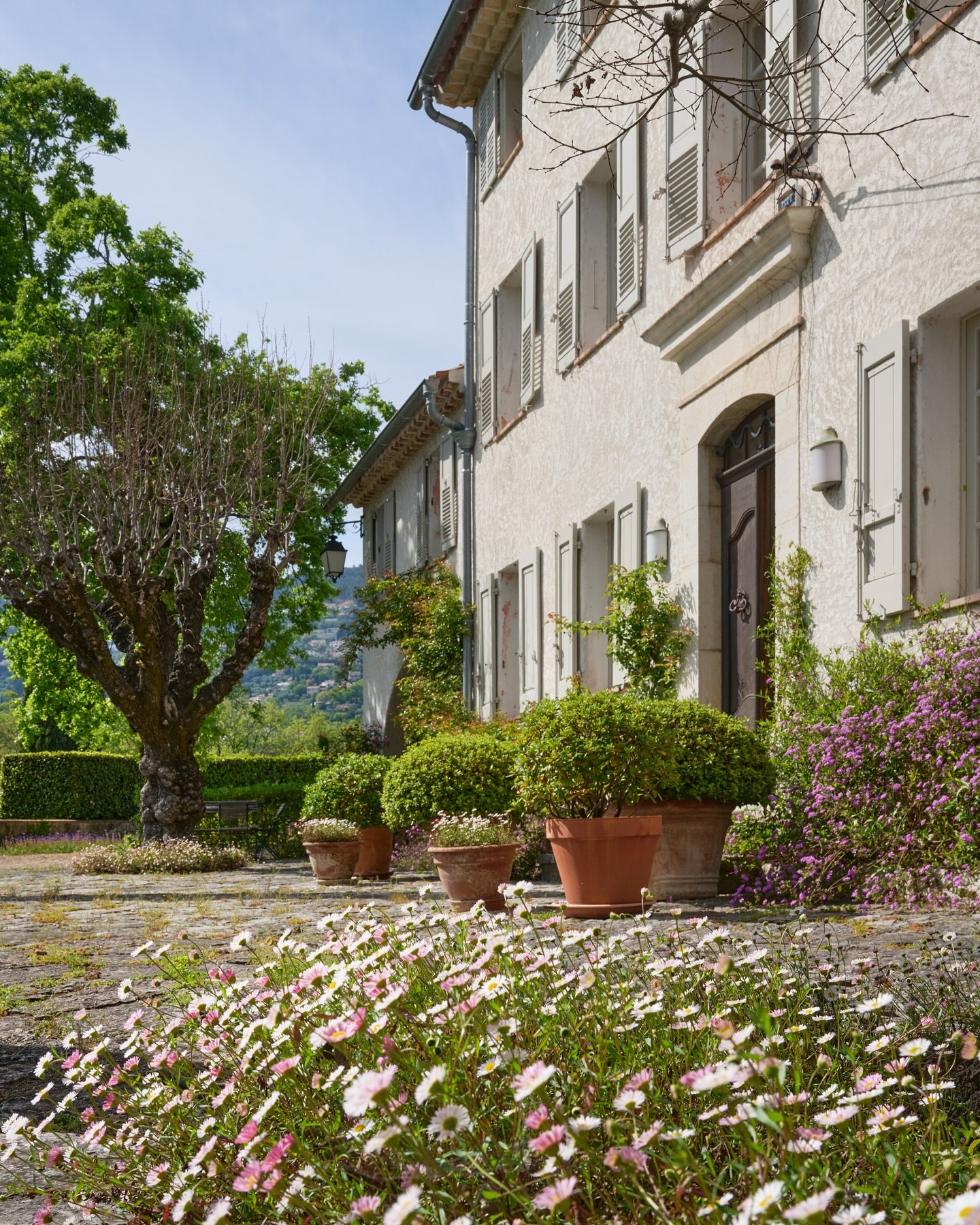 &copy; @countryside_immobilier #charminghomes #southoffrance🇫🇷 

Une atmosph&egrave;re chaleureuse et &eacute;l&eacute;gante au c&oelig;ur de la nature. L&rsquo;&acirc;me du Sud dans chaque pi&egrave;ce.
A warm and elegant atmosphere in the heart o