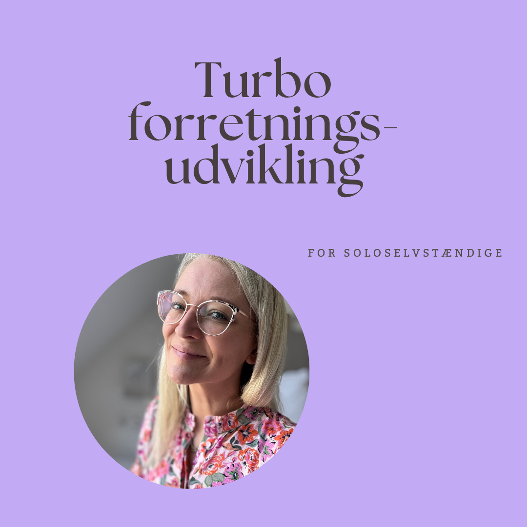 Intens strategisk udviklingsdag for dig der er travl soloselvstændig