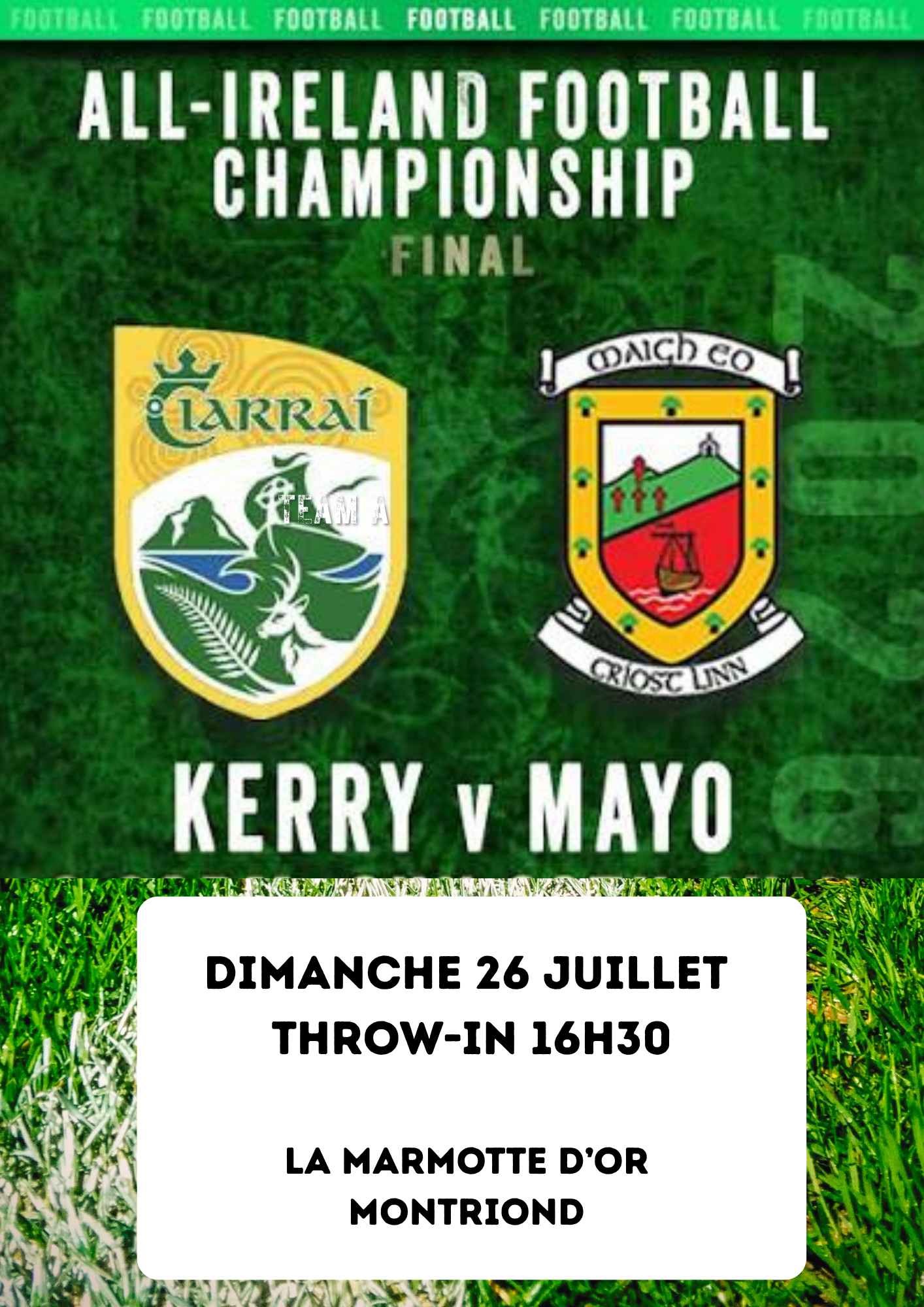 ALL IRELAND FINAL