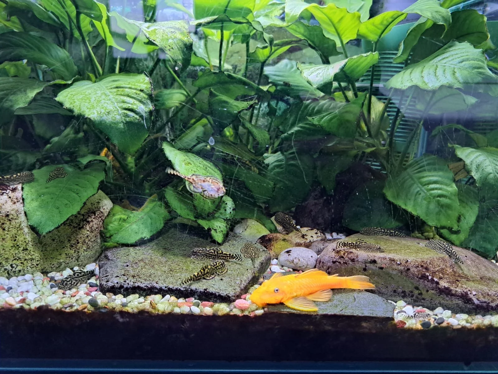 WhatsApp Image 2025-08-31 at 19.50.17.jpeg