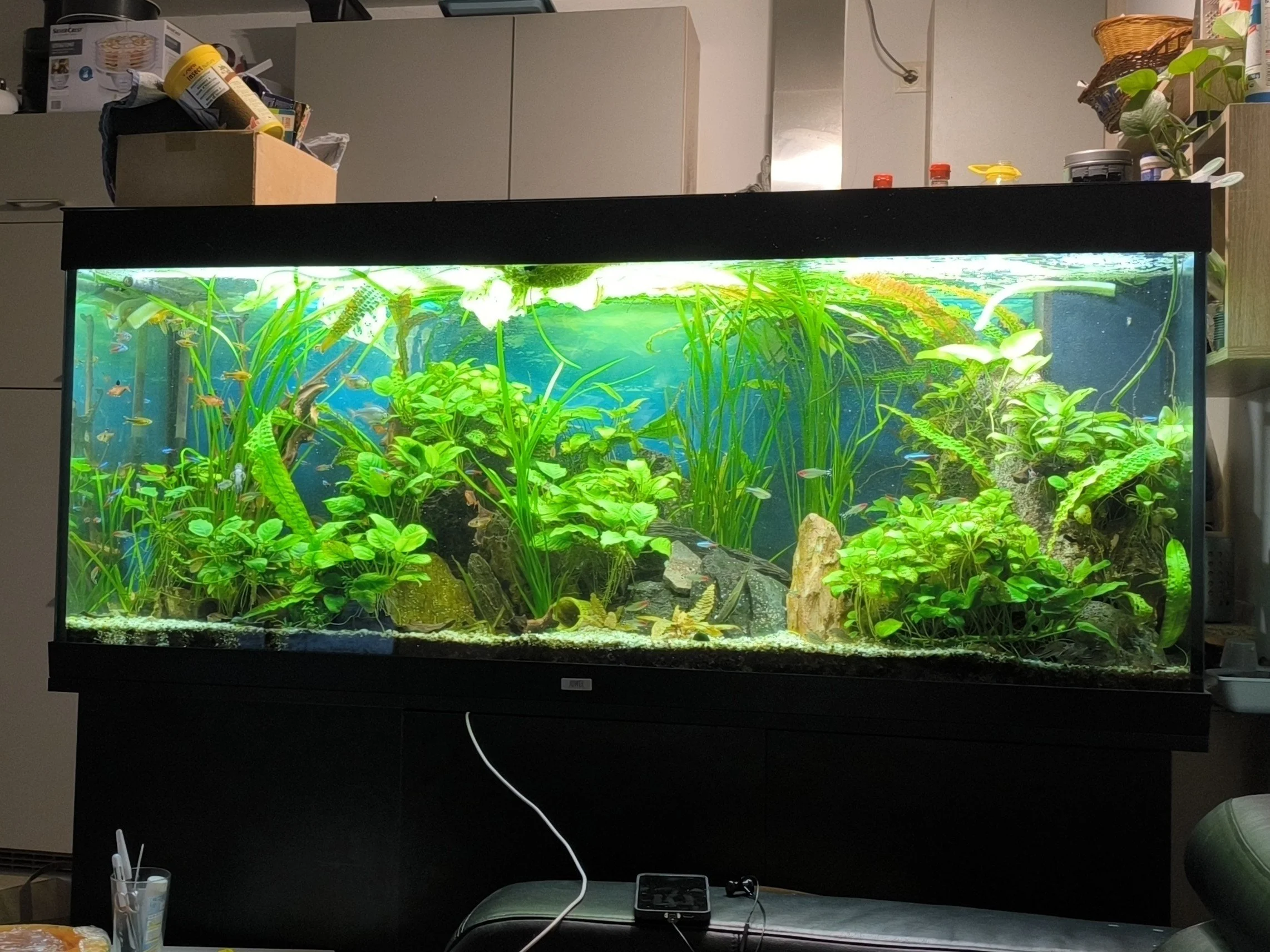 AquariumAlex.jpg
