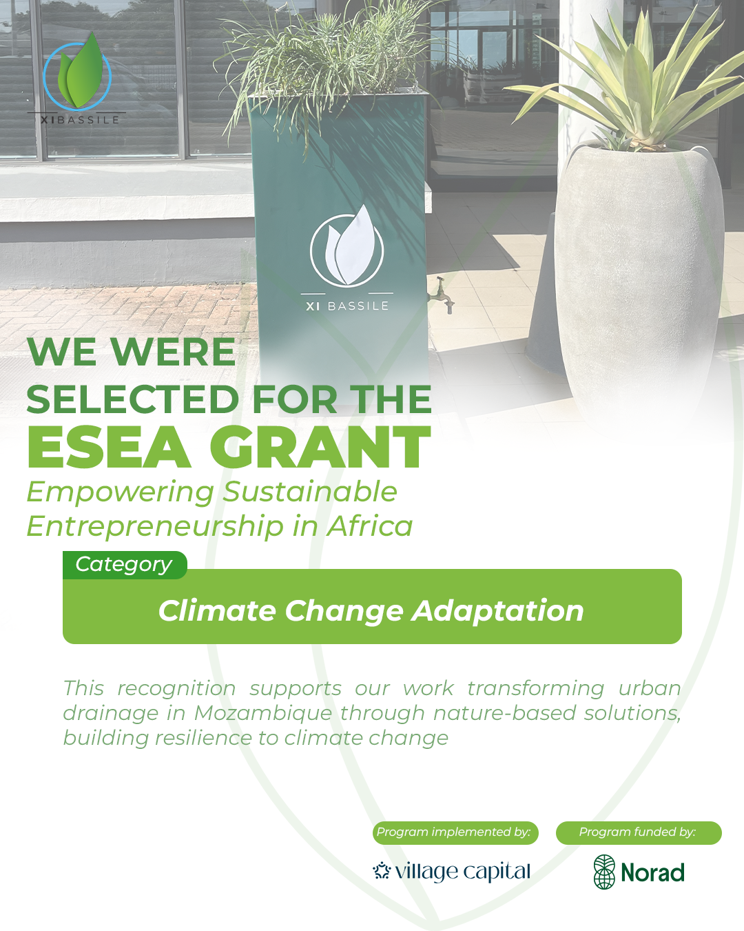Xi Bassile Selected for the ESEA Grant 2026
