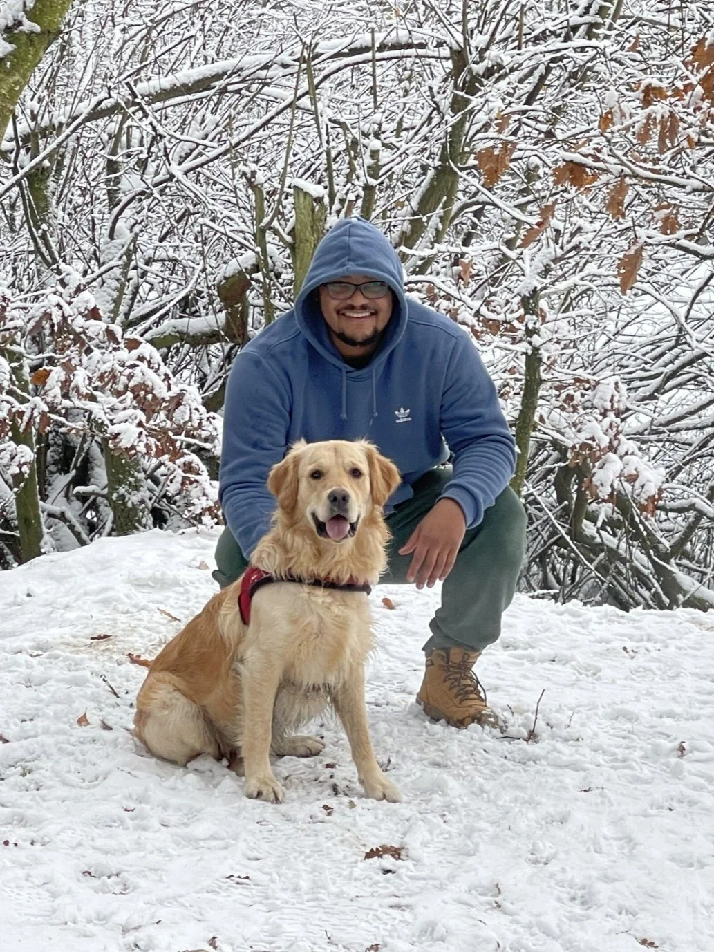 Person in a blue hoodie kneeling in the snow with a golden retriever dog.