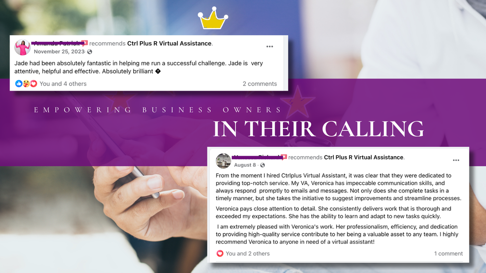 Online business owner testimonial on CPRIVAS delegation support