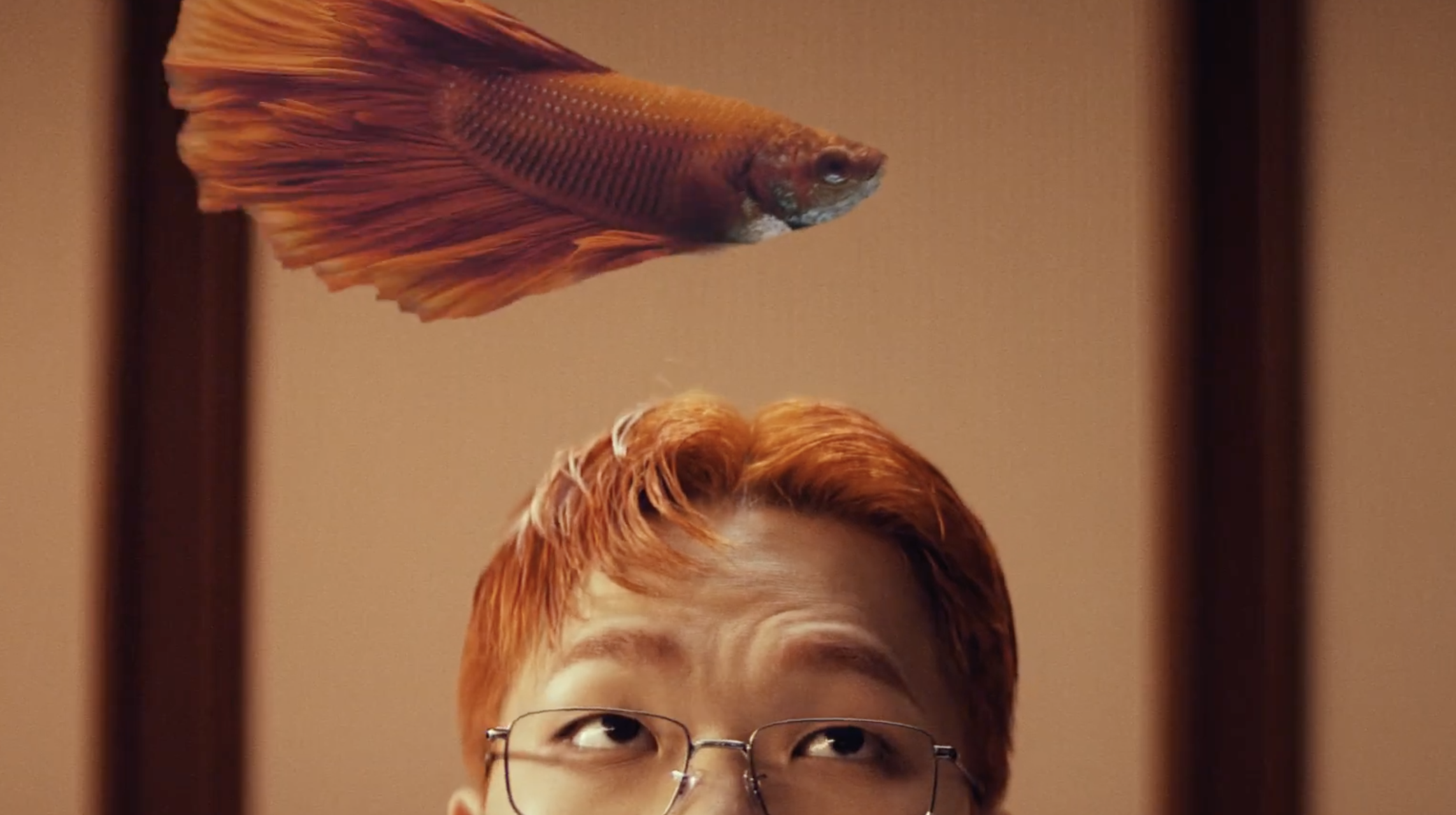 Une personne aux cheveux roux regardant un poisson Betta rouge flottant au-dessus de sa tête.