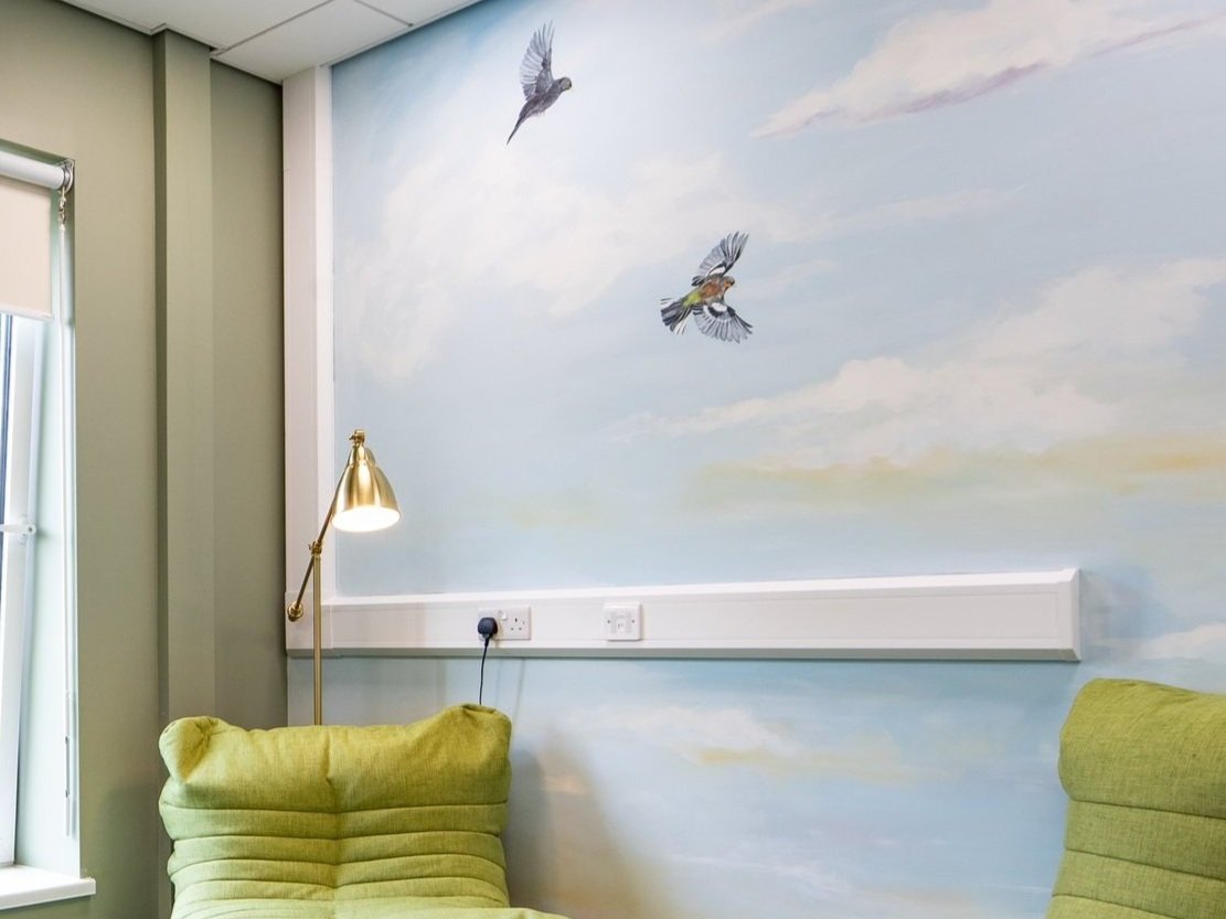 sky wall mural school office