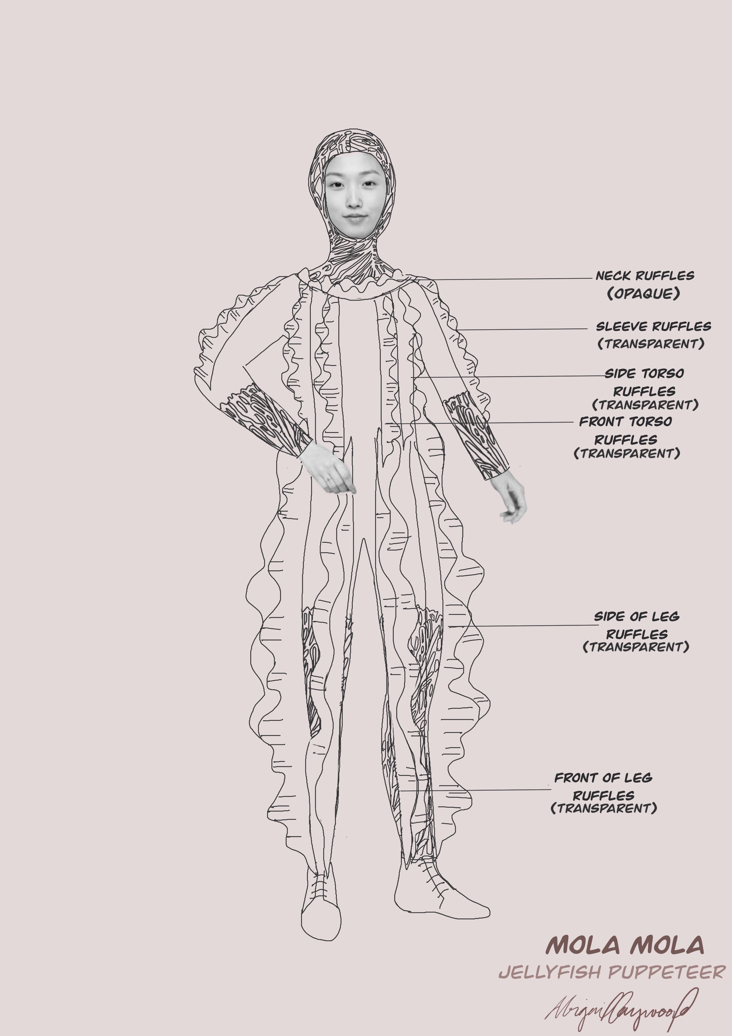 15. Jellyfish Puppeteer Ruffles.jpg