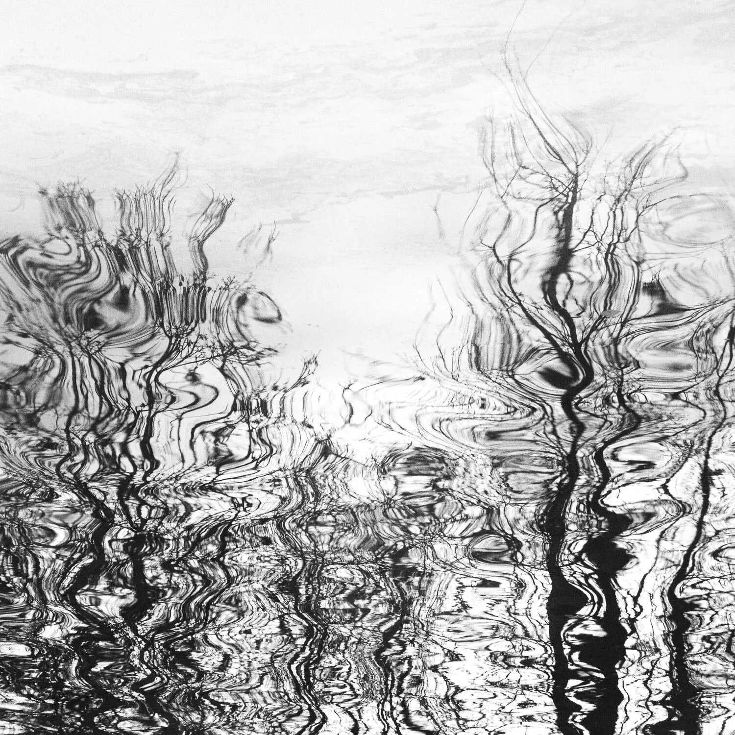 Louise-collier-fine-art-photography-Fluid-Forest-print-nature-abstract-patterns-black-and-white-water-reflections-black_and_white-6.jpg