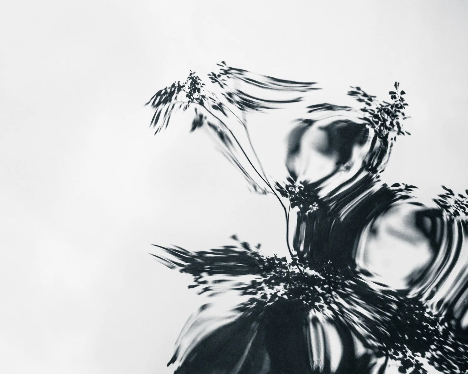 Louise-collier-fine-art-photography-The-Ephemera-Wave-print-abstract-water-nature-reflections-black_and_white.jpg