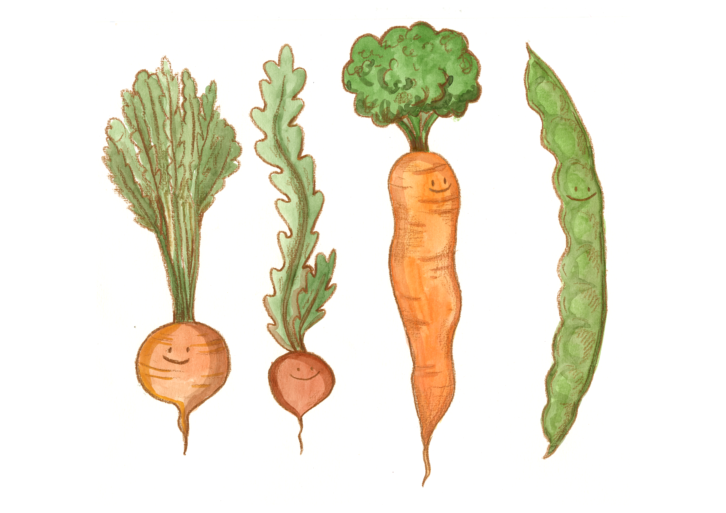 Groente boekenleggers