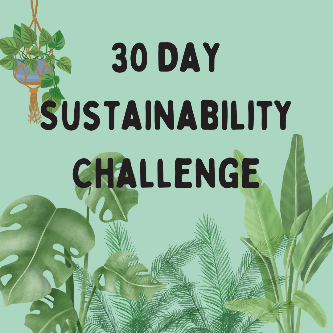 30-day Sustainability Challenge