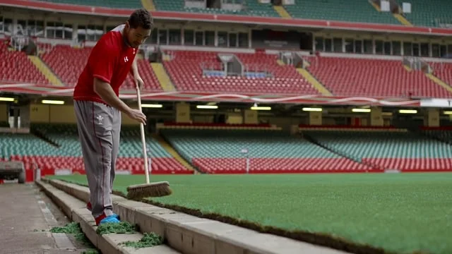 DOVE | Autumn Internationals