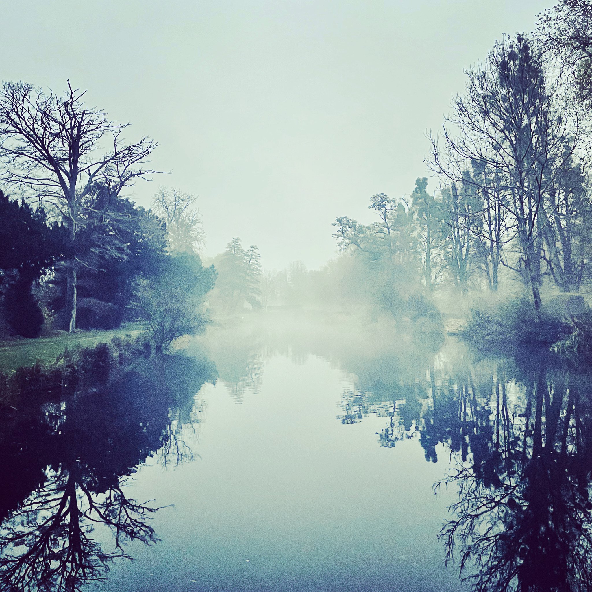 0337CED1-E50F-4421-B602-412A8AF87B43.jpeg
