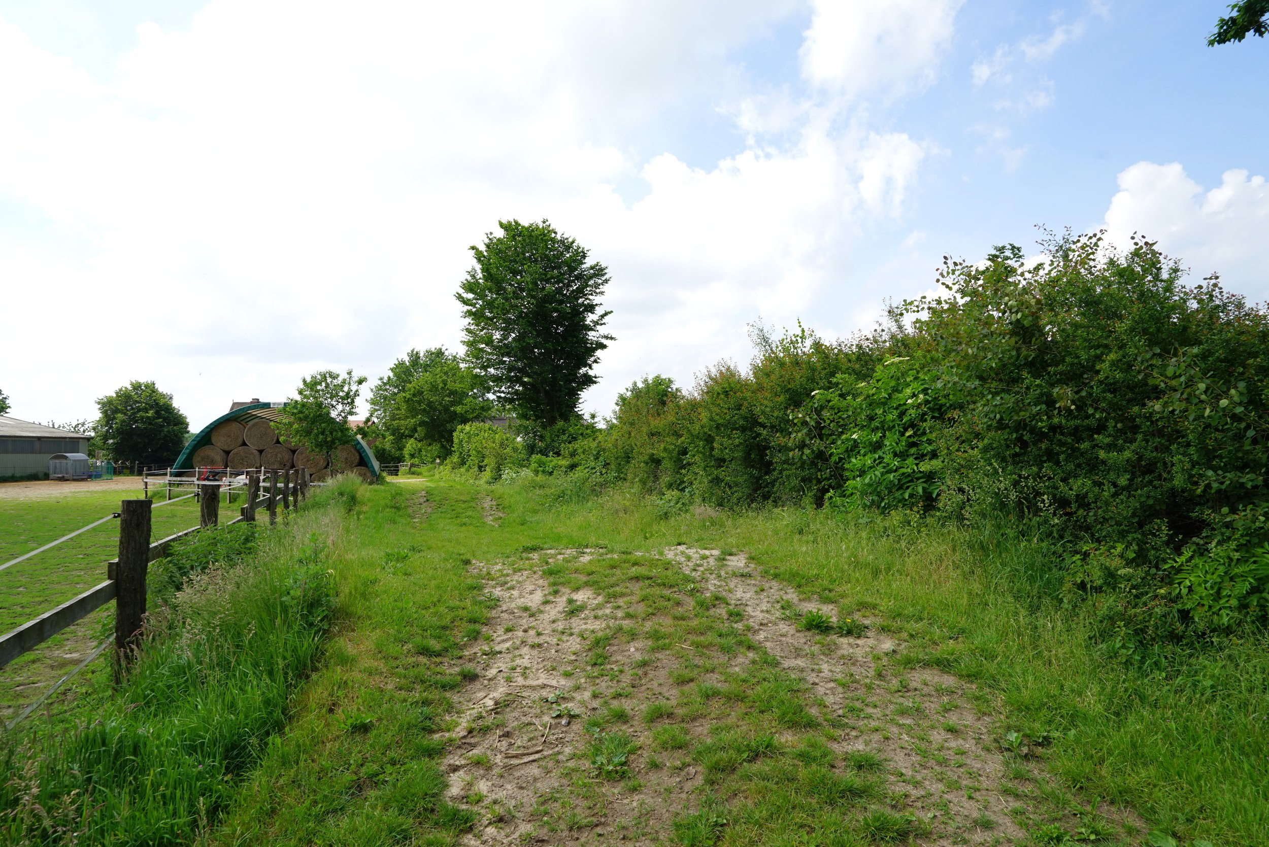 DSC04956.JPG