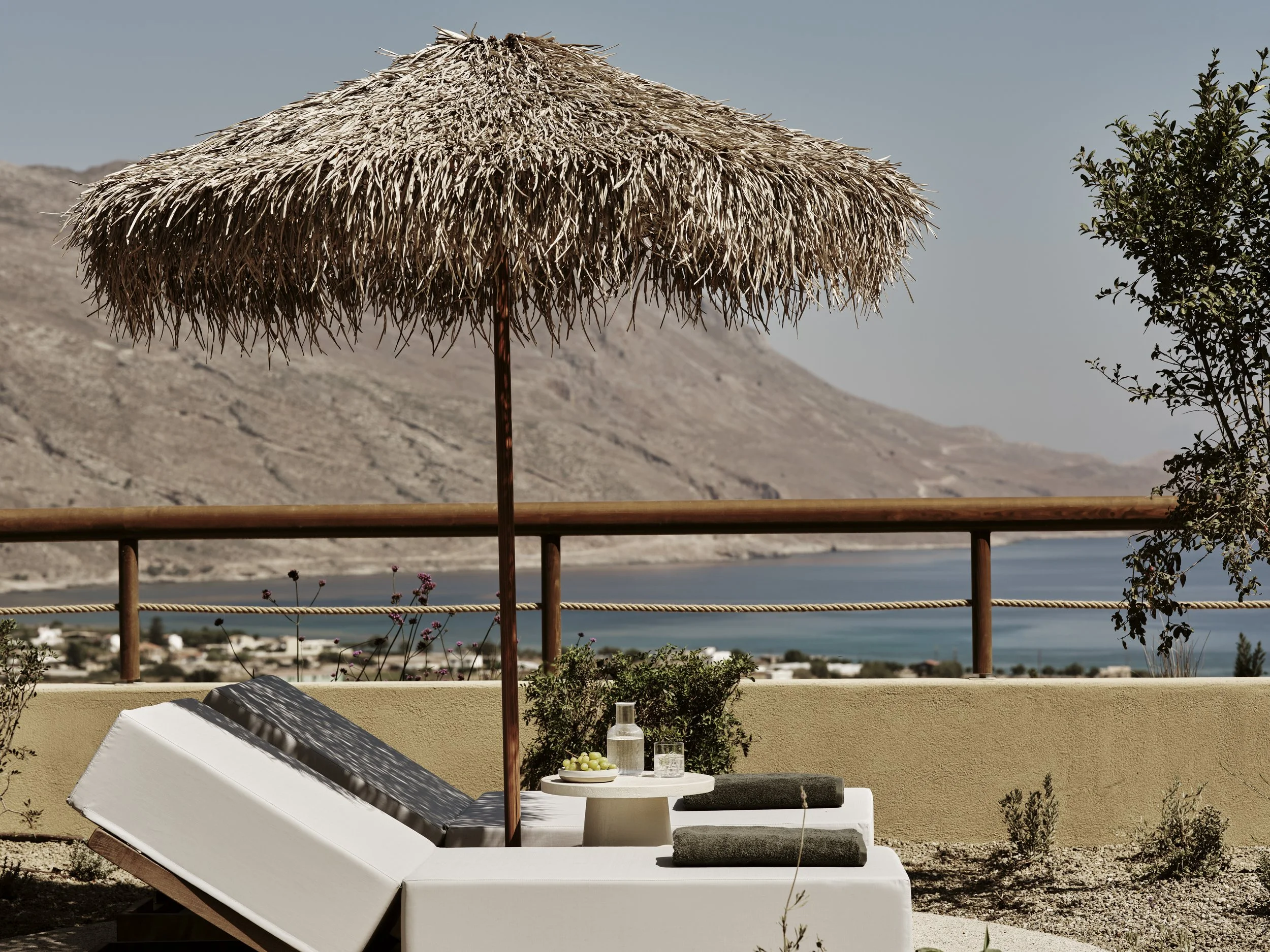 drz_tella thera_5_49329.jpg