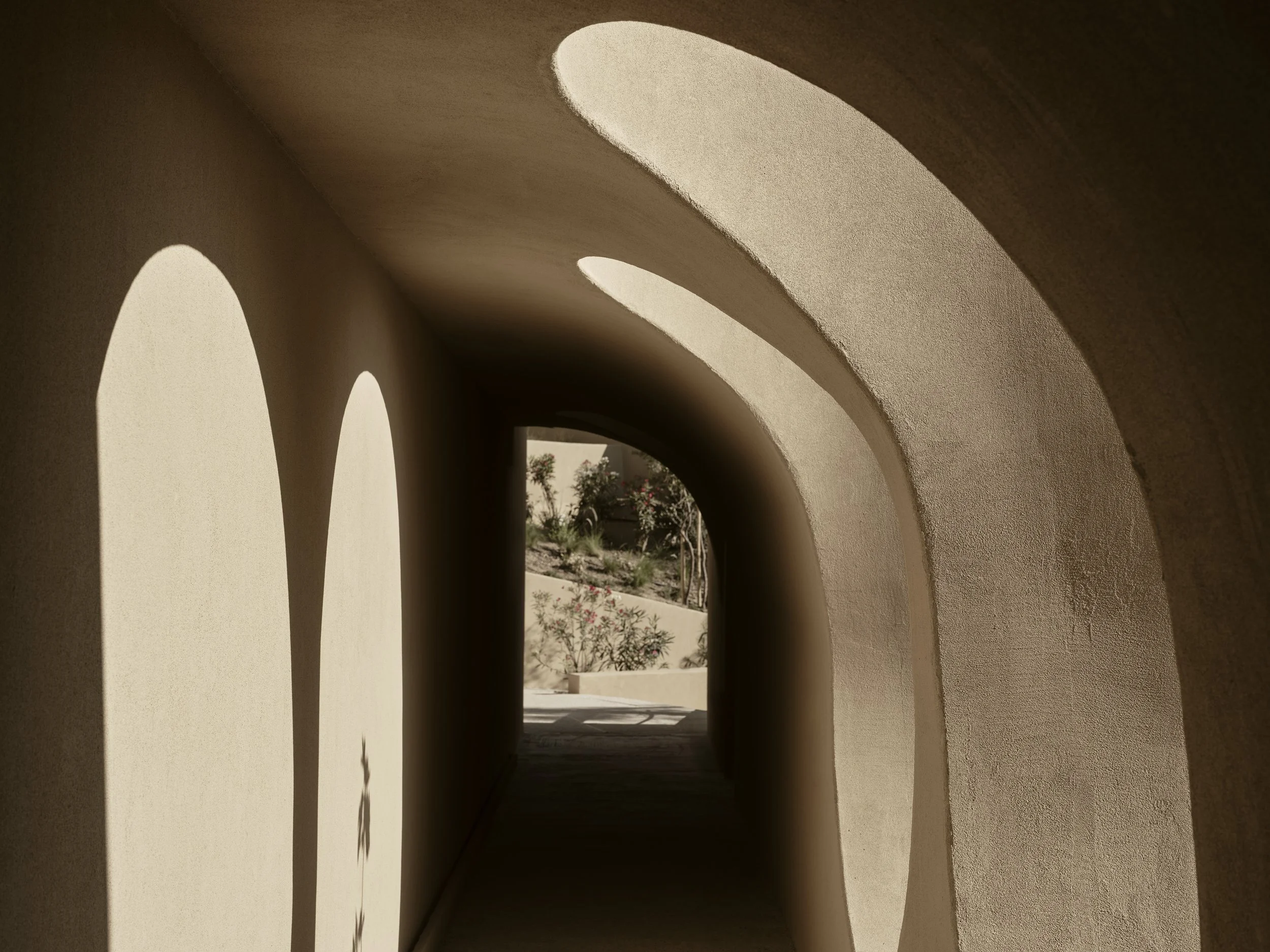 drz_tella thera_5_210436.jpg