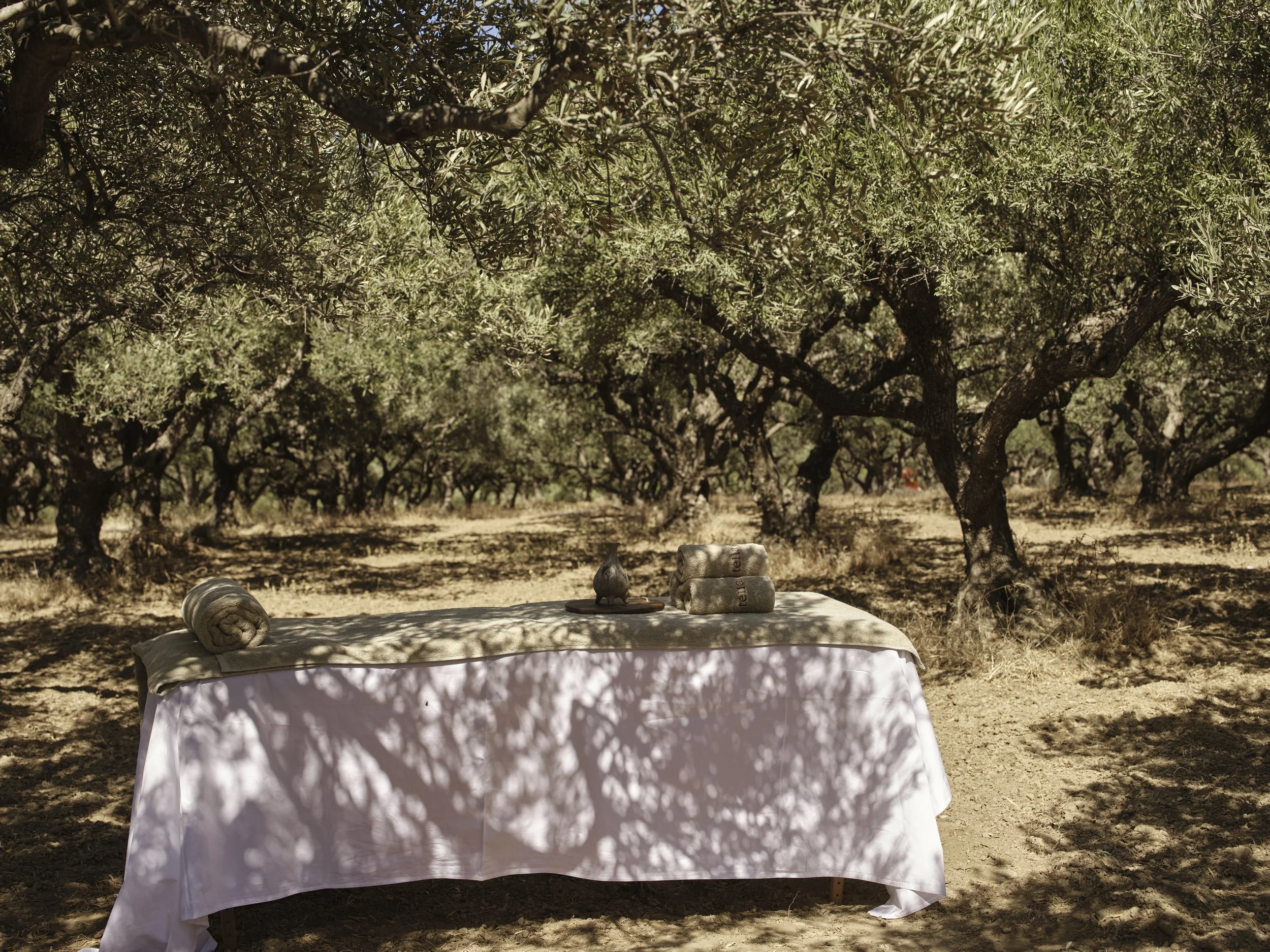 drz_tella thera_5_49517.jpg