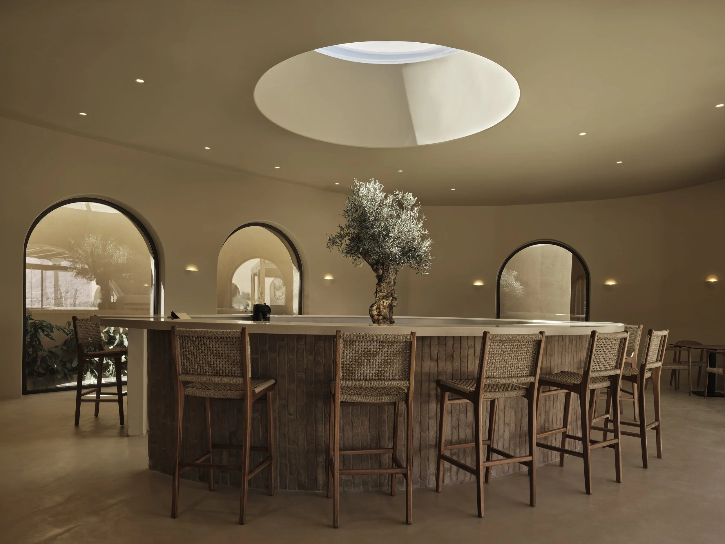 drz_tella thera_5_49658.jpg