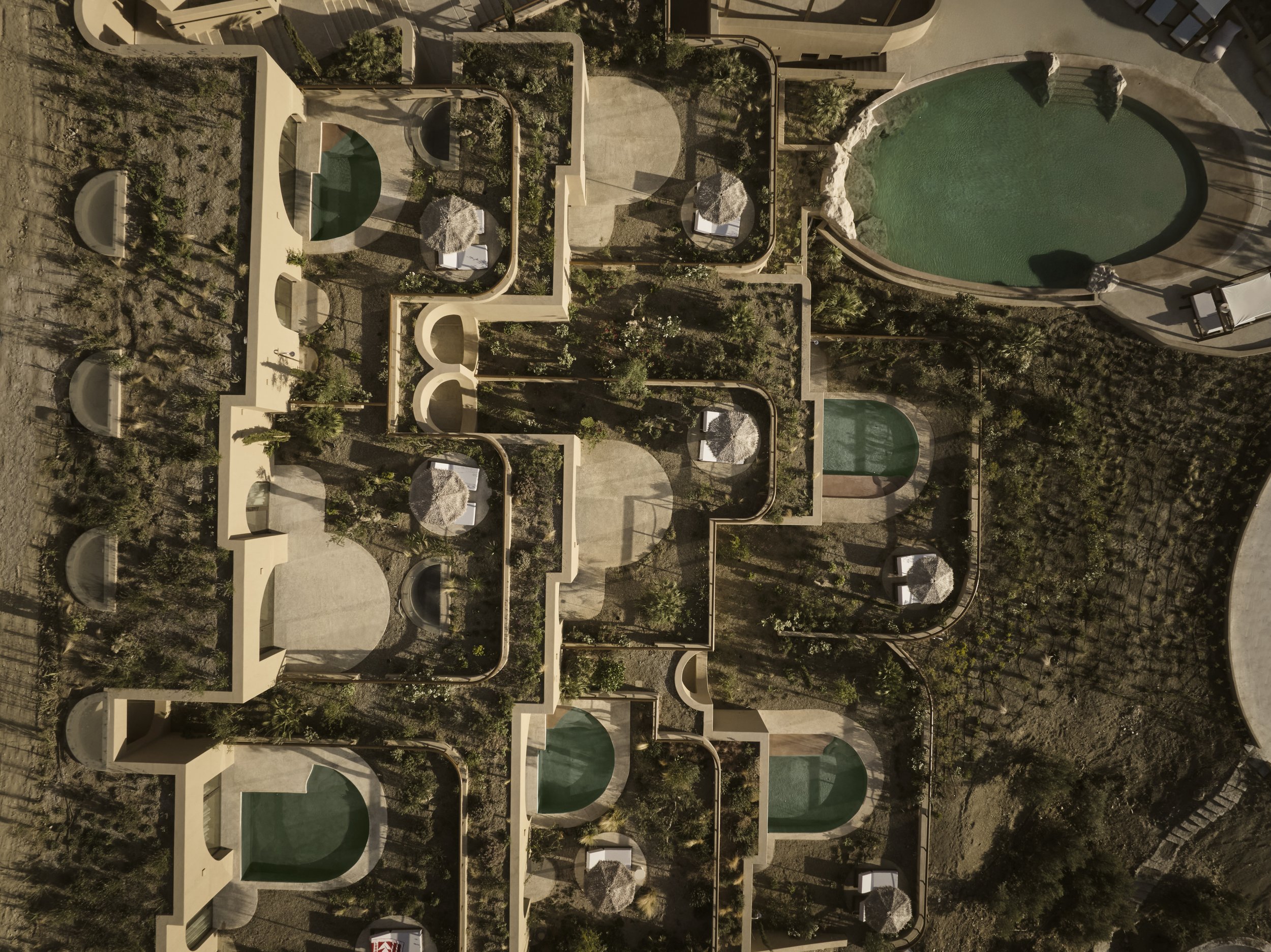 drz_tella thera-5-00356.jpg