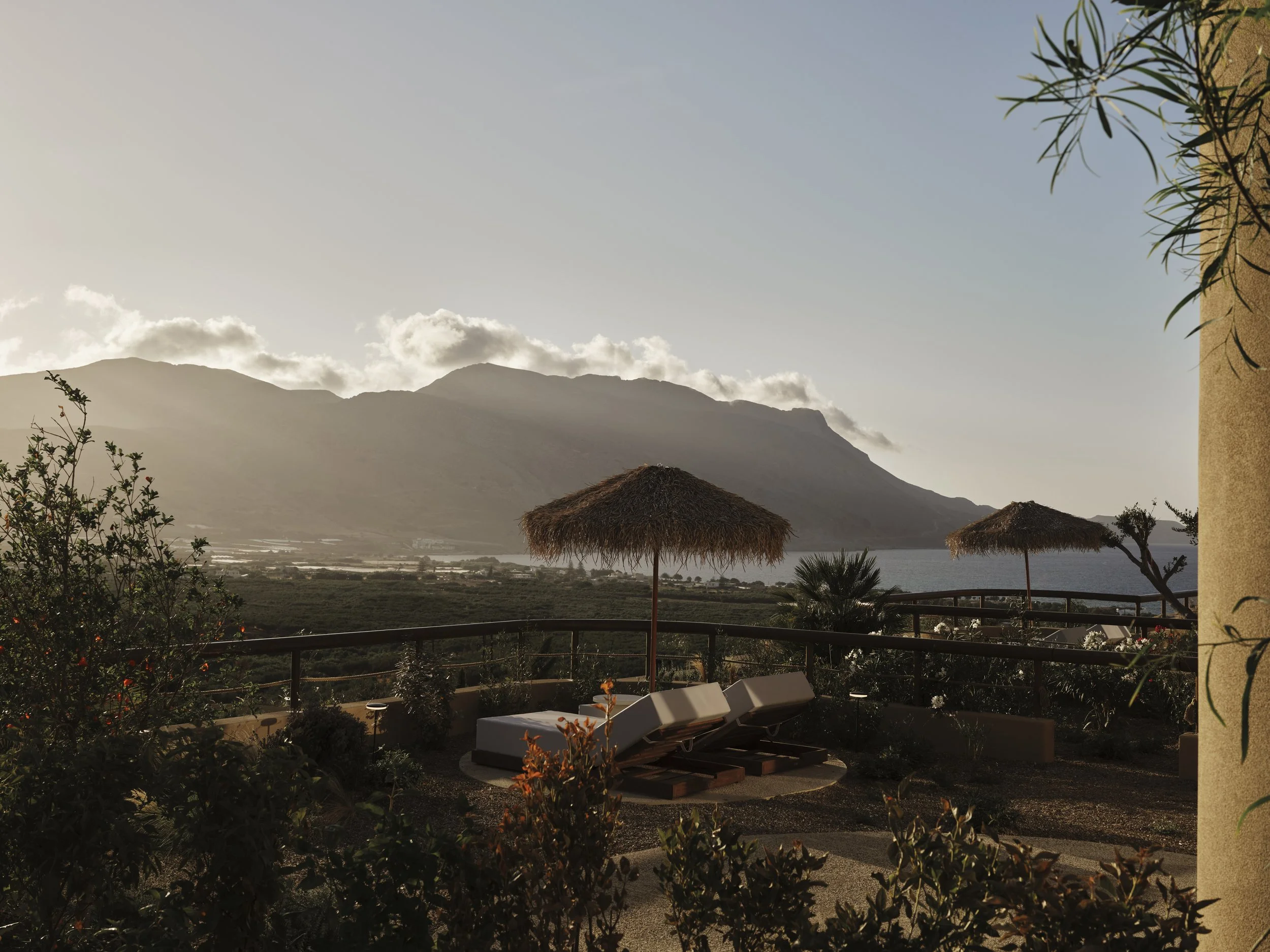 drz_tella thera-5-00100.jpg