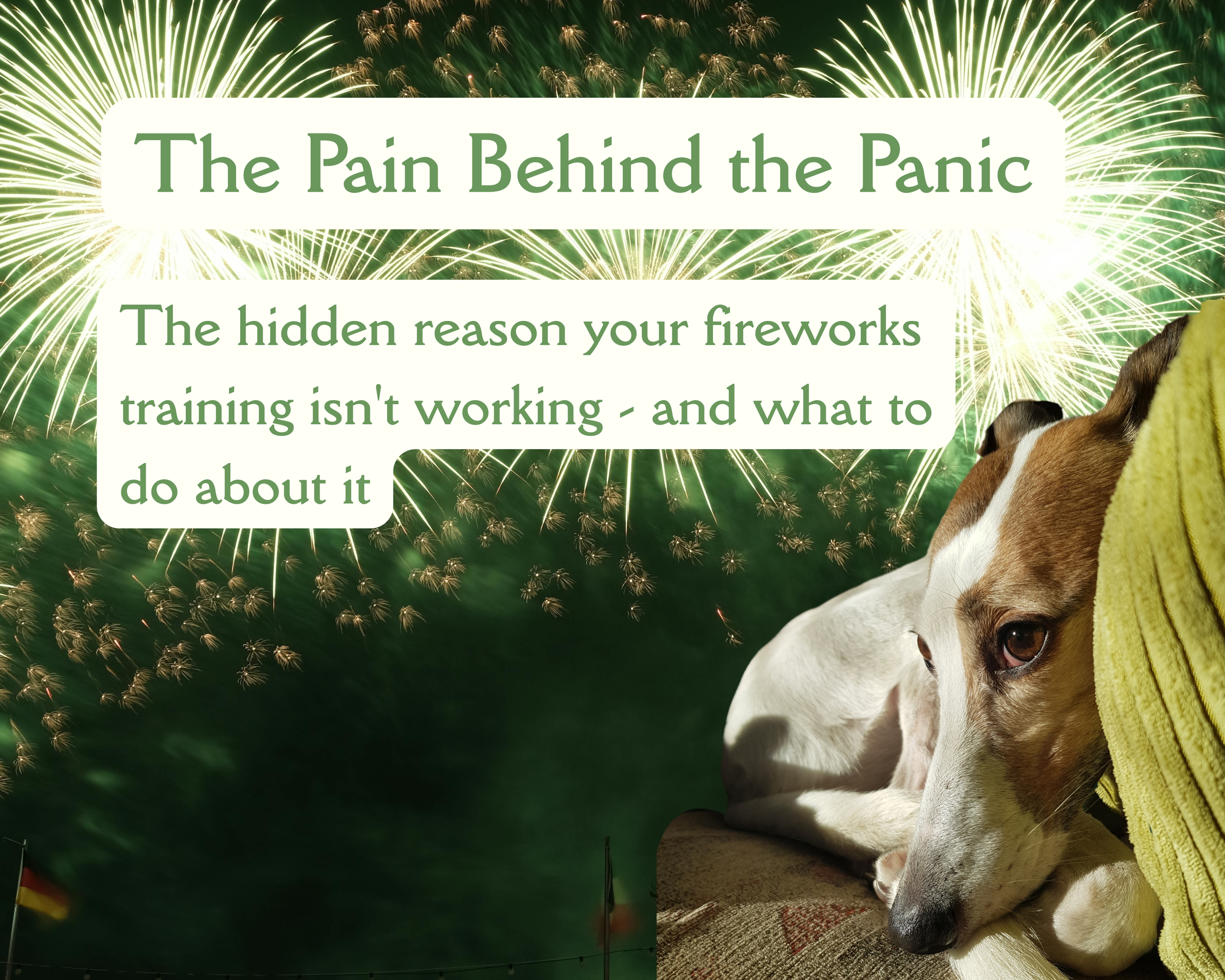 The Pain Behind the Panic
