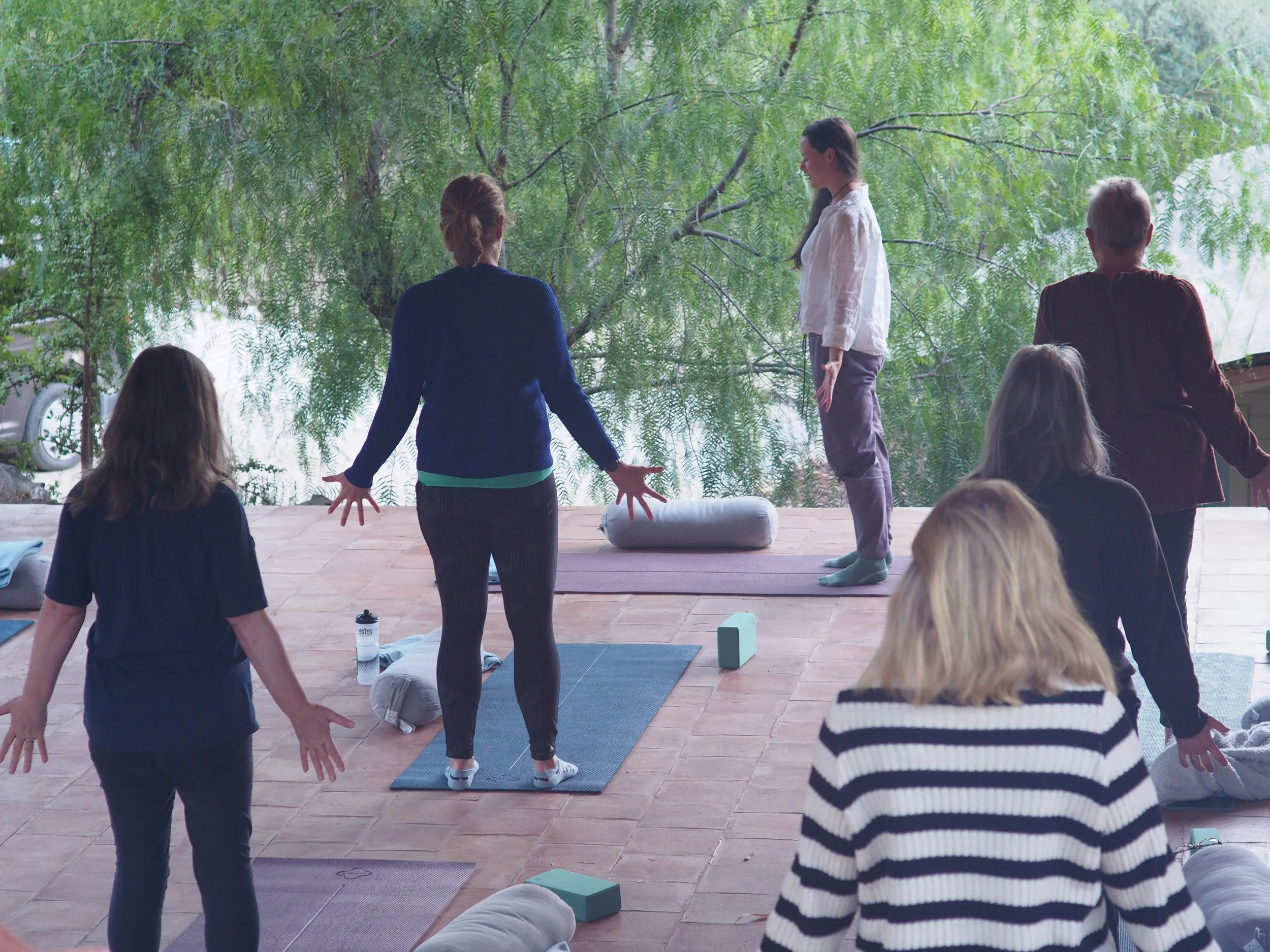 Group of people practicing yoga on mats in a serene, outdoor setting with green trees.