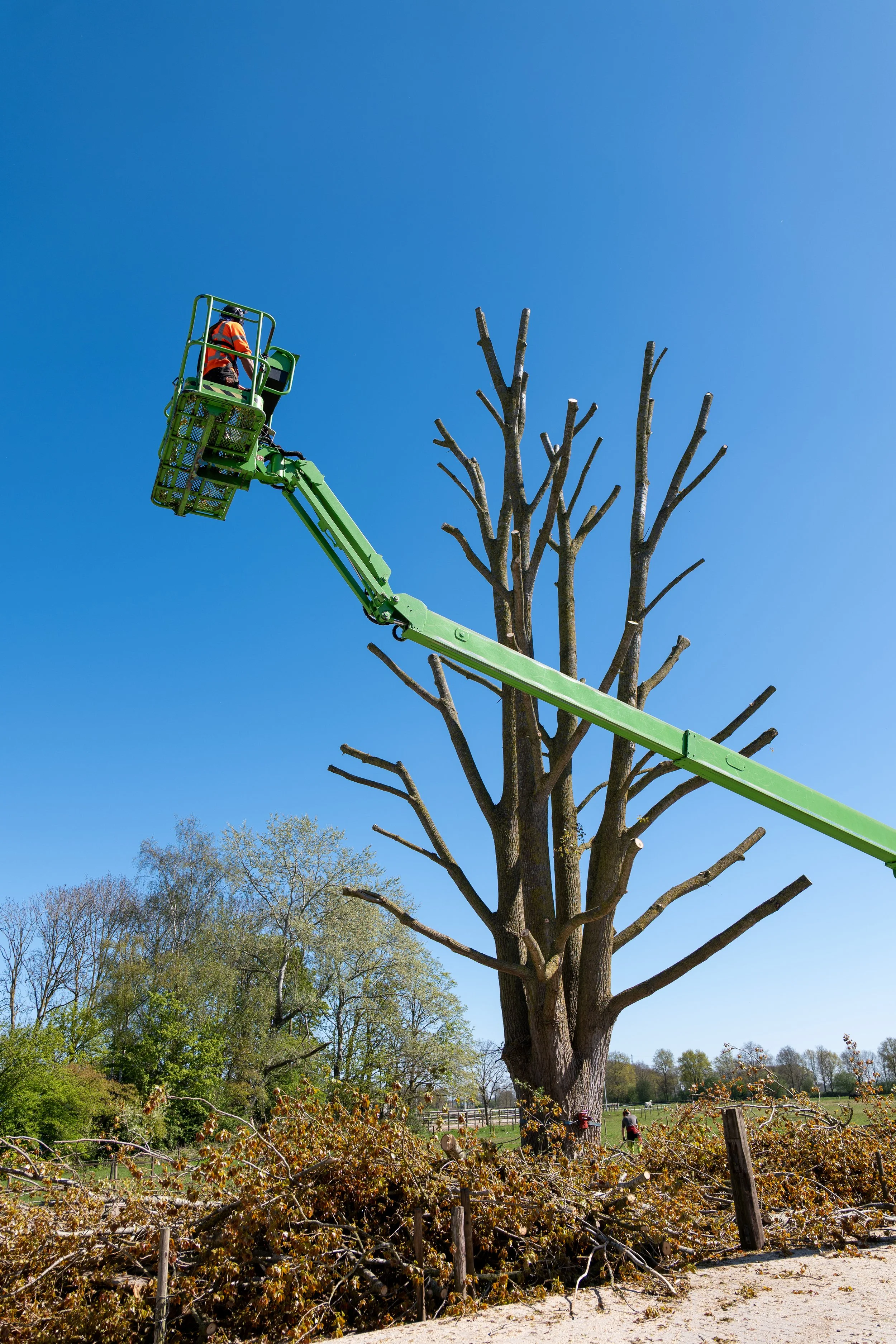 Documentary pictures