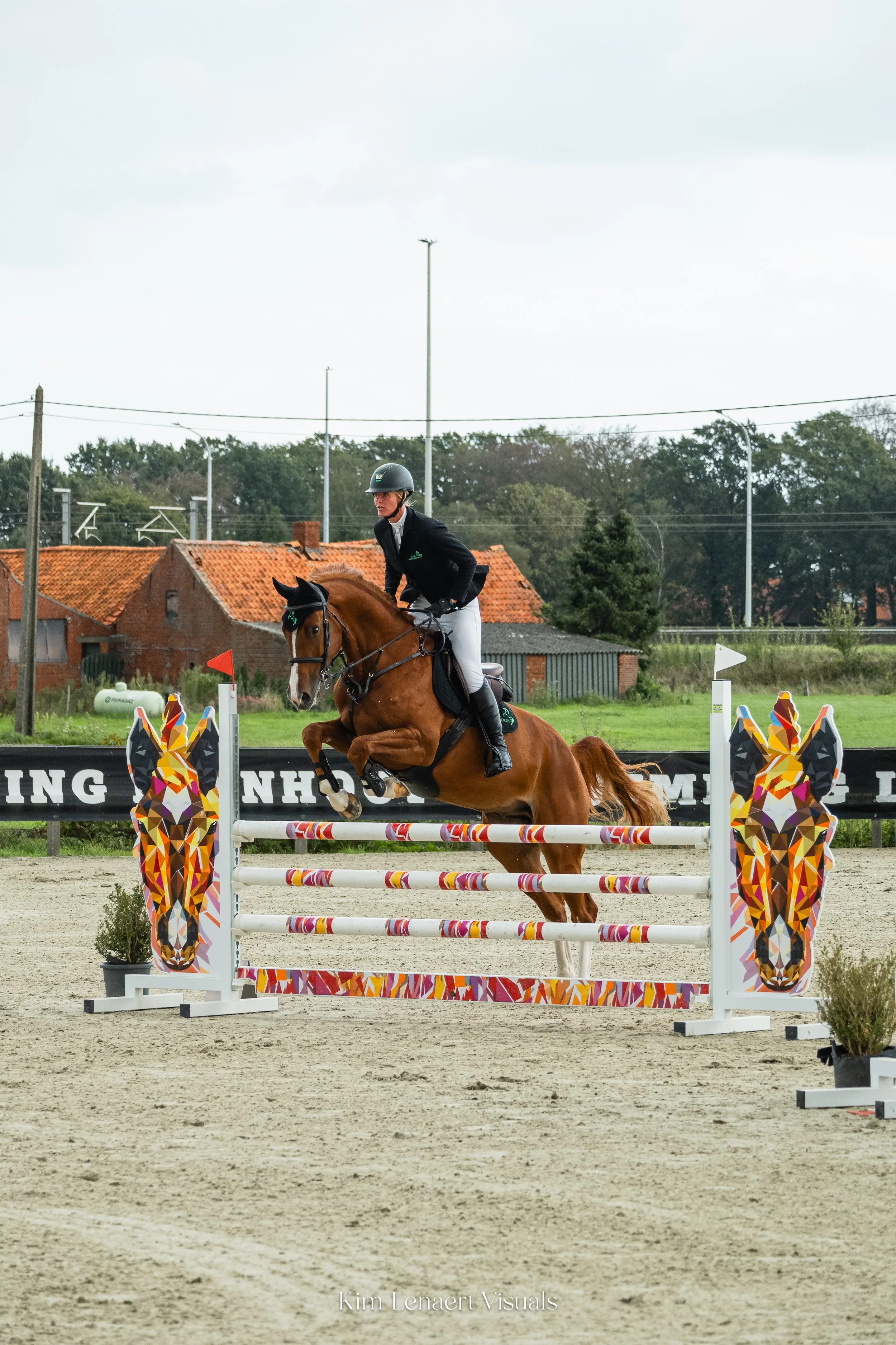 Asterix Katershoeve-6.jpg